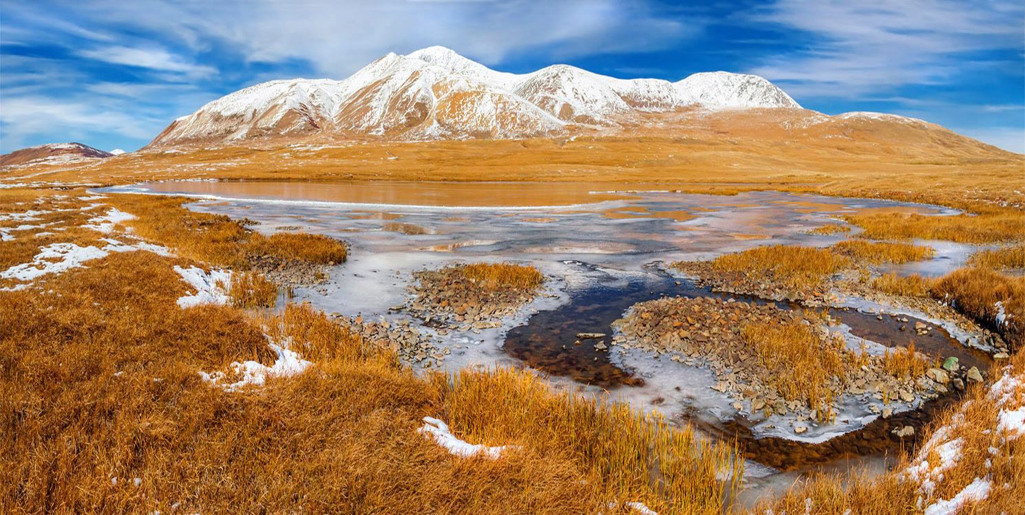 1636294593-00b5cee0a72e79fcace85f1ba7a3e