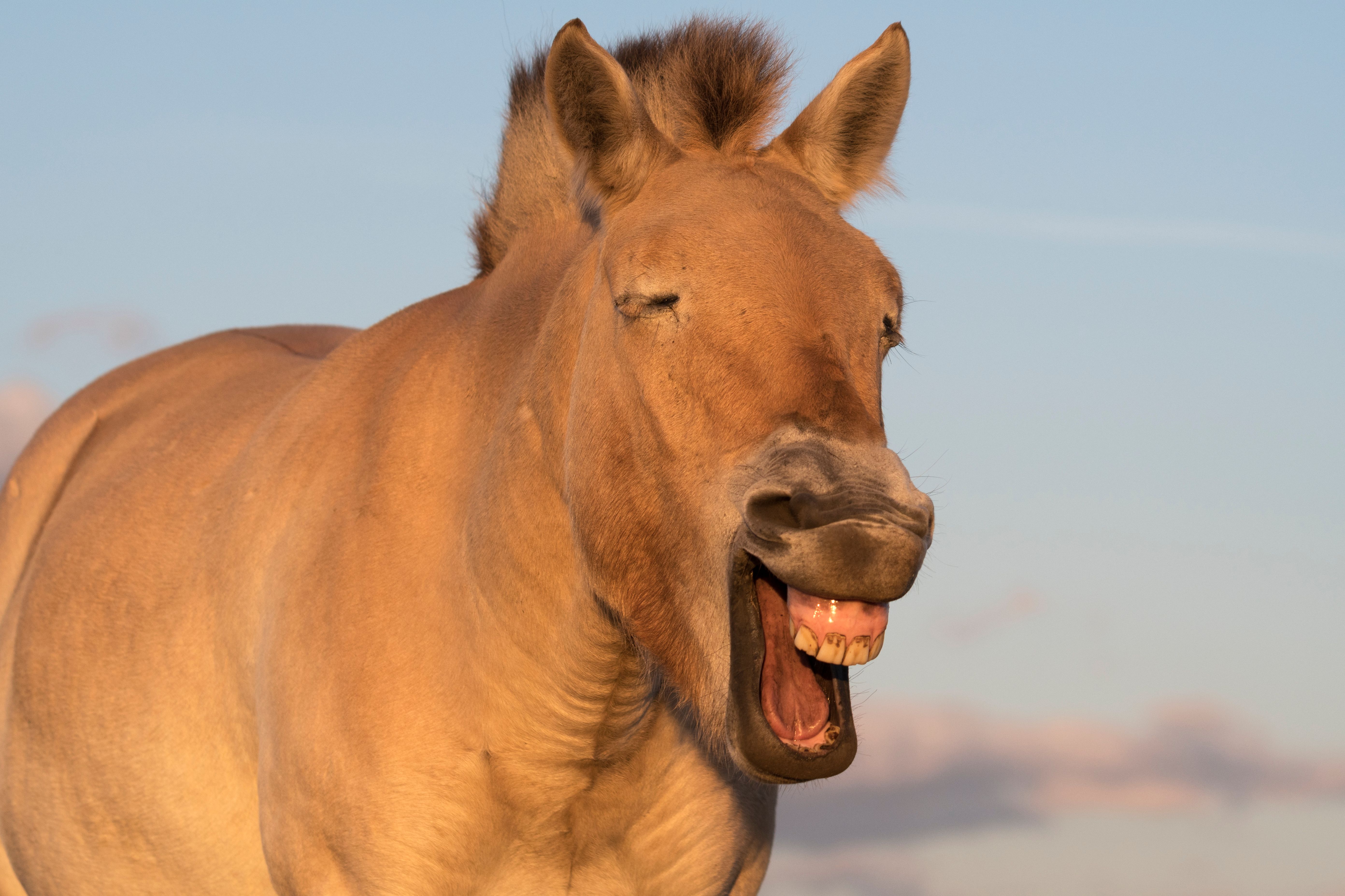 От улыбки хмурый день светлей)