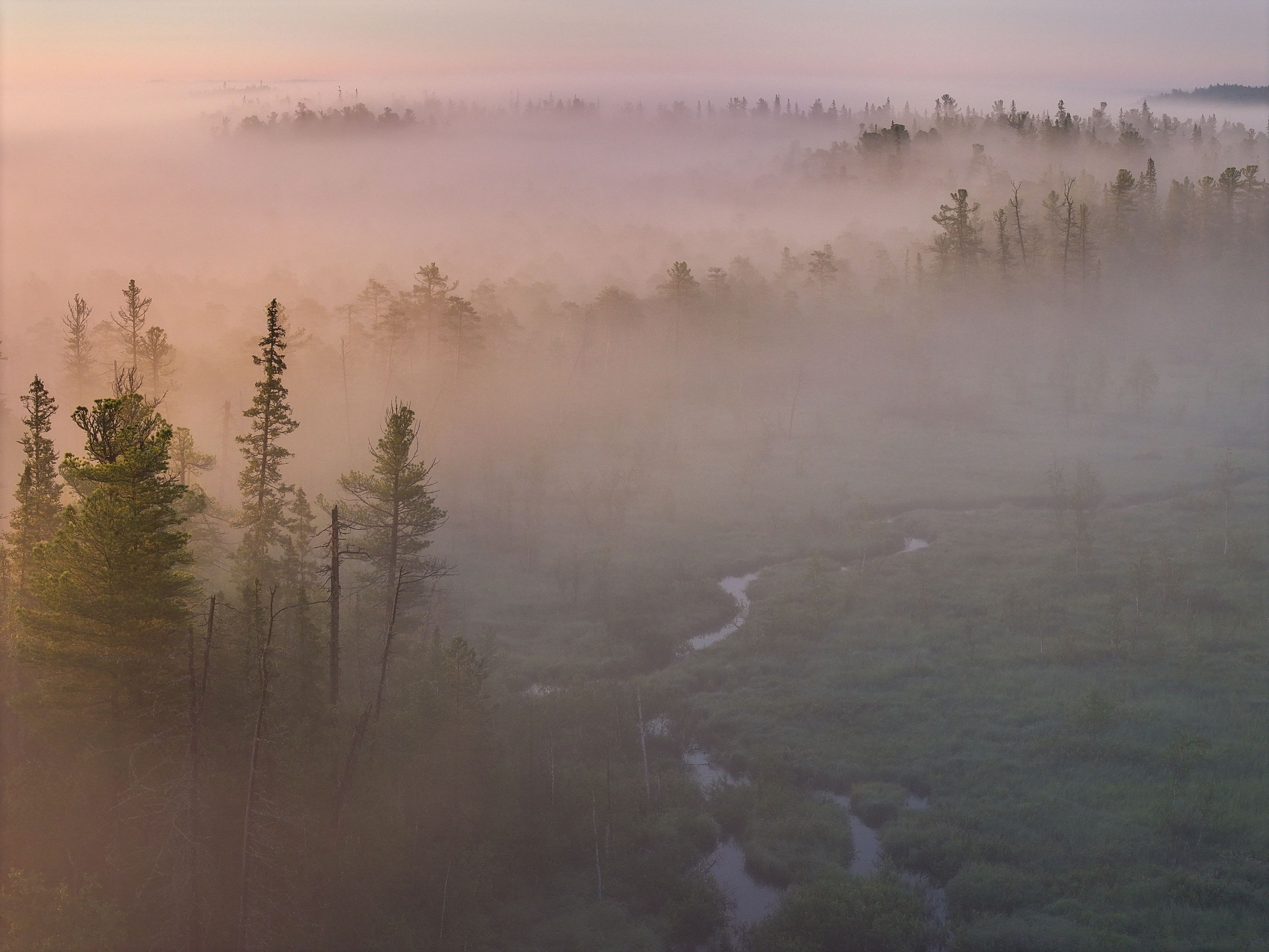 Туманный рассвет на реке Шоушма