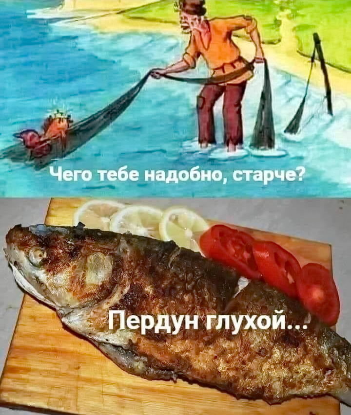 1694090497-03762f32cca6271eeed14d7942056