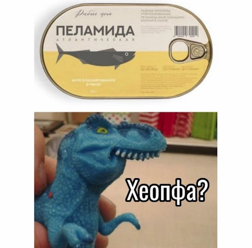 1770709725-08e9346cf927e25f14b6db0c1f421