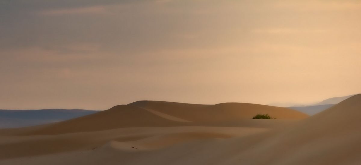 Обманчивая нежность пустыни