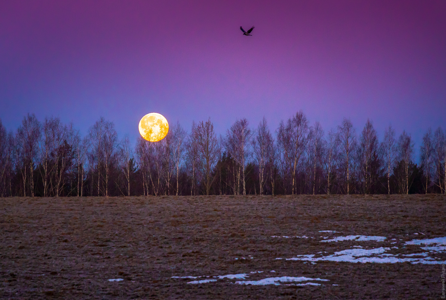 1650279100-0b1b5ba02538c6d9b4e6c84dcbe78