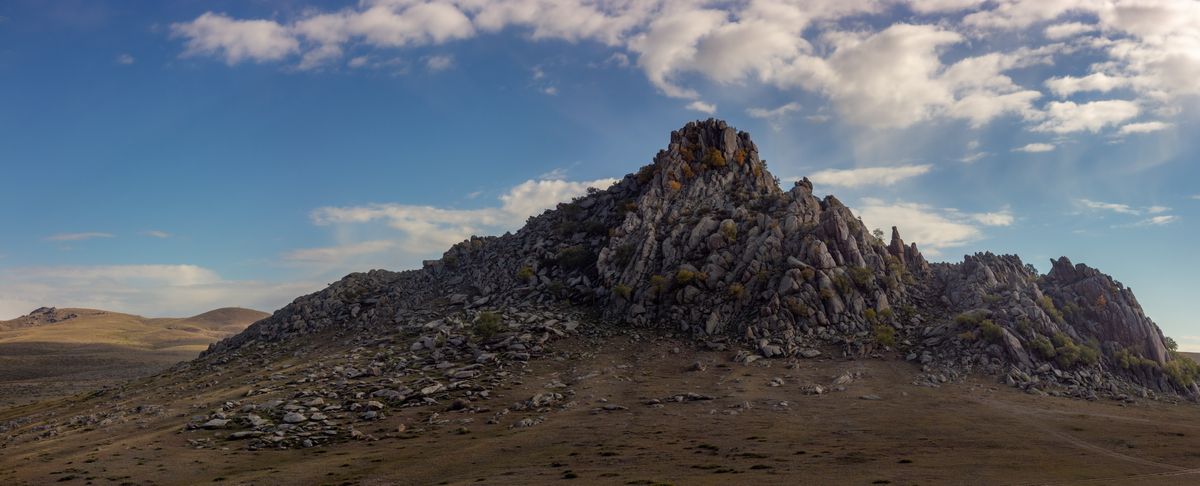 Дом Дракона