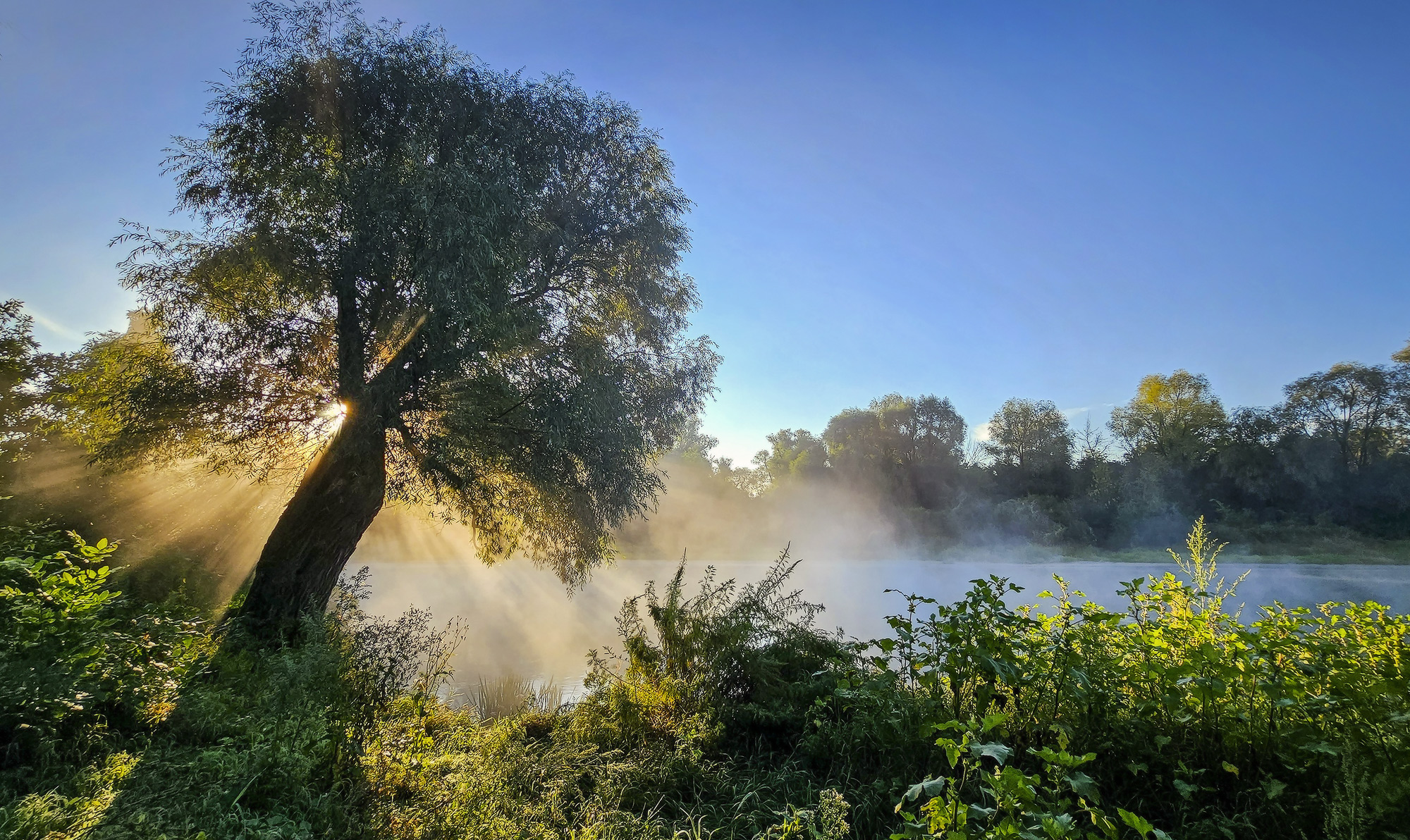 1757536422-1179026de5439fda919794d4caae2