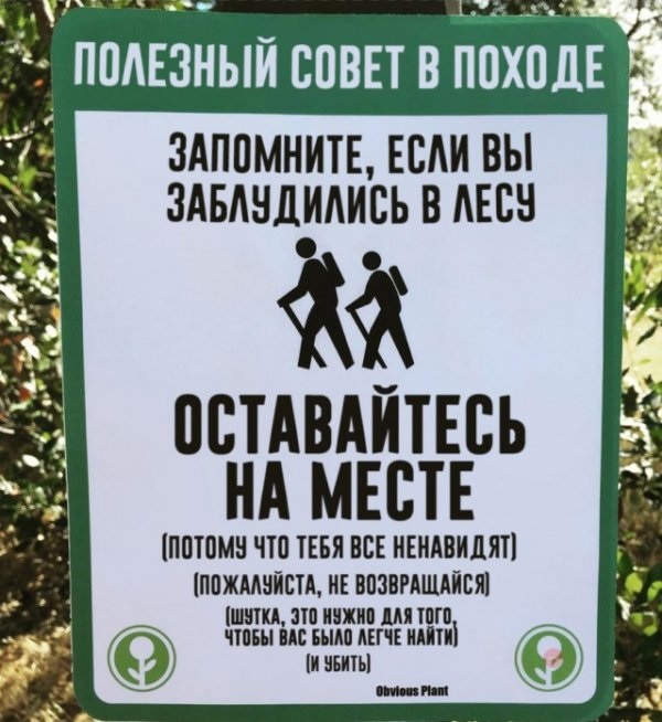 1534243419-13d30363de0685f9b6d91b216eaa9