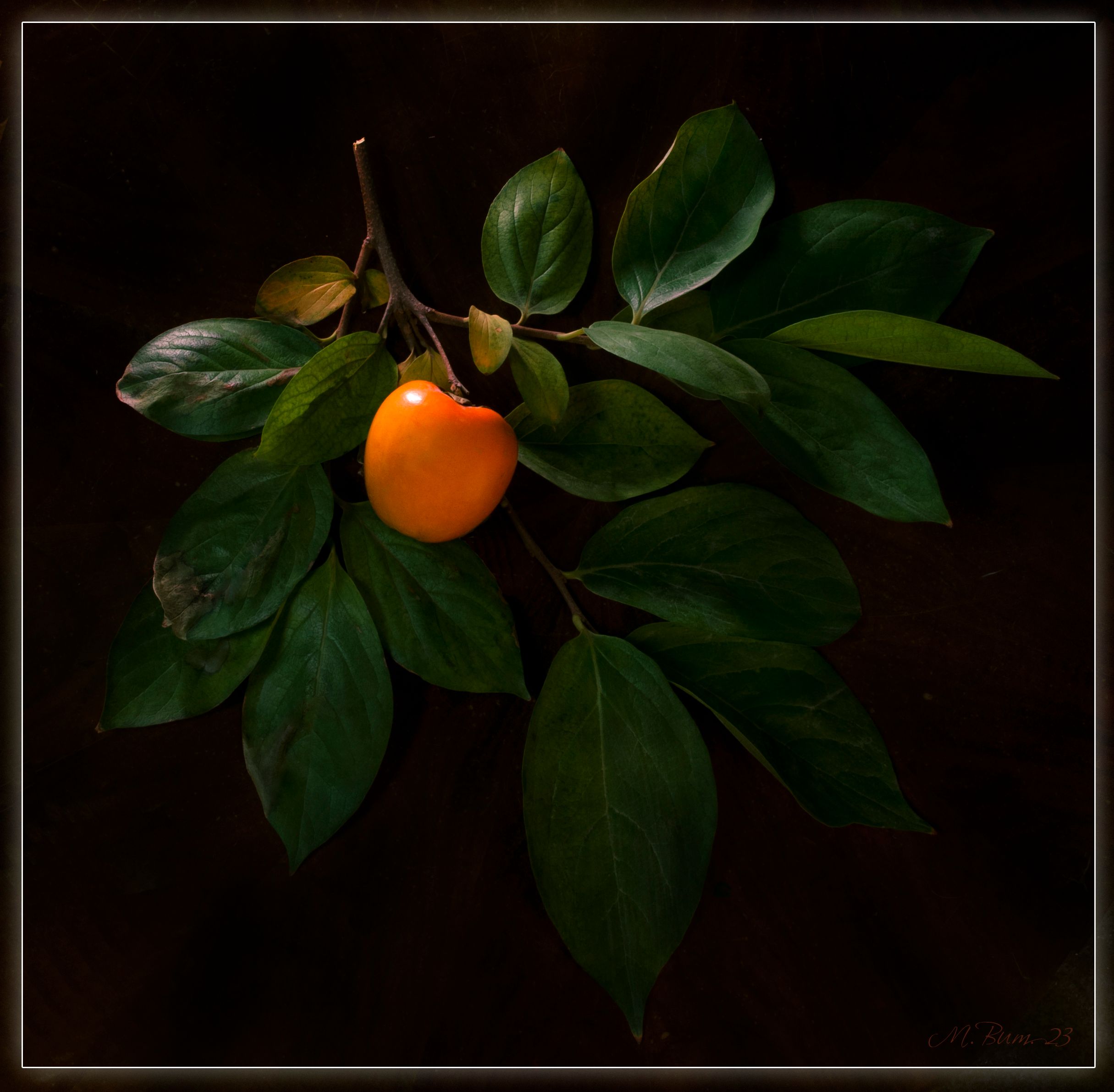 Последний плод осени