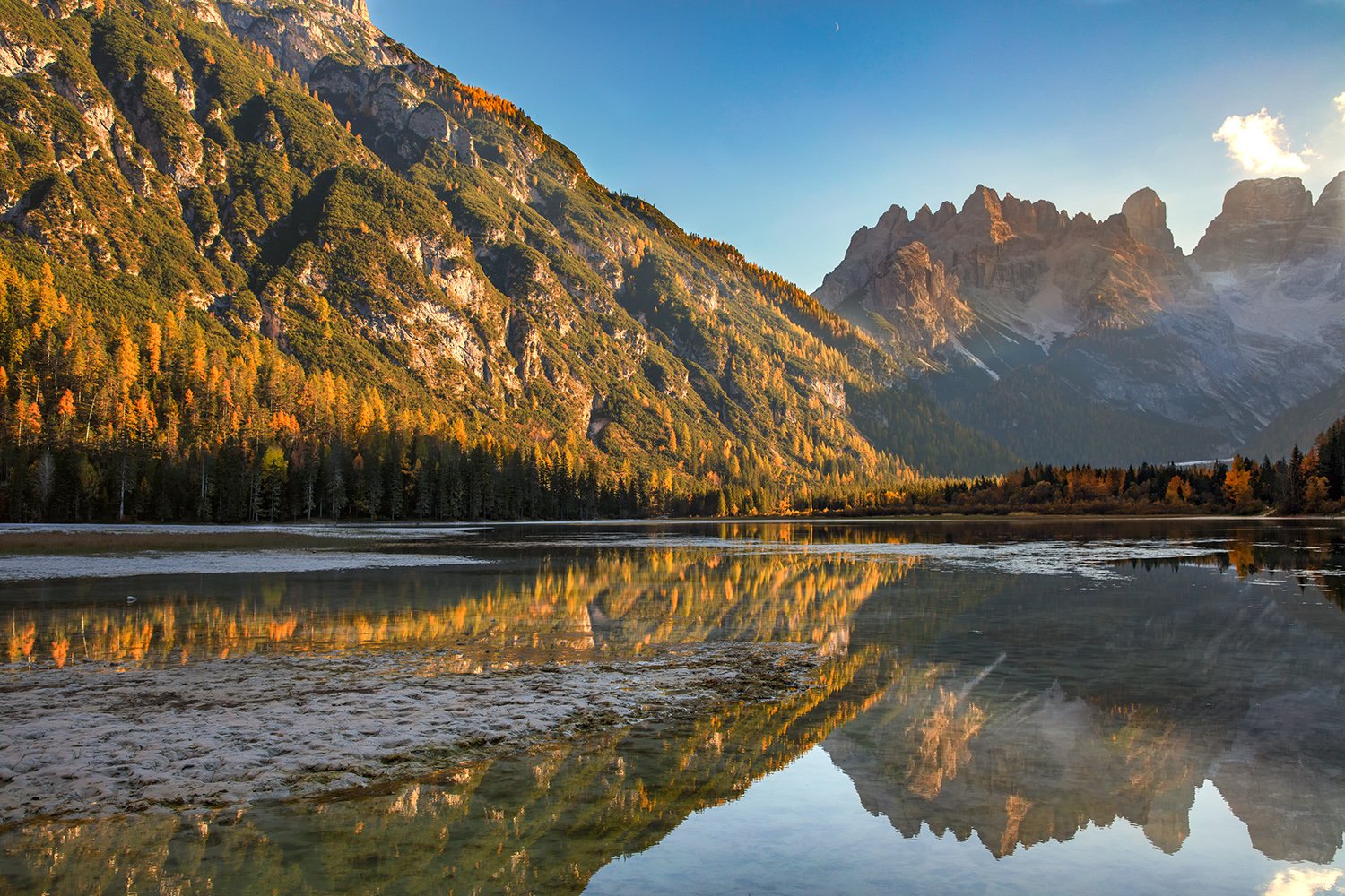 1636355387-14170755f0918945f1b467bd1376f