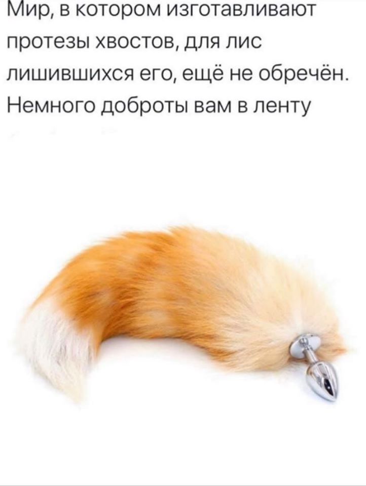 1585008368-14822ac1fd945c95115e5425713f0