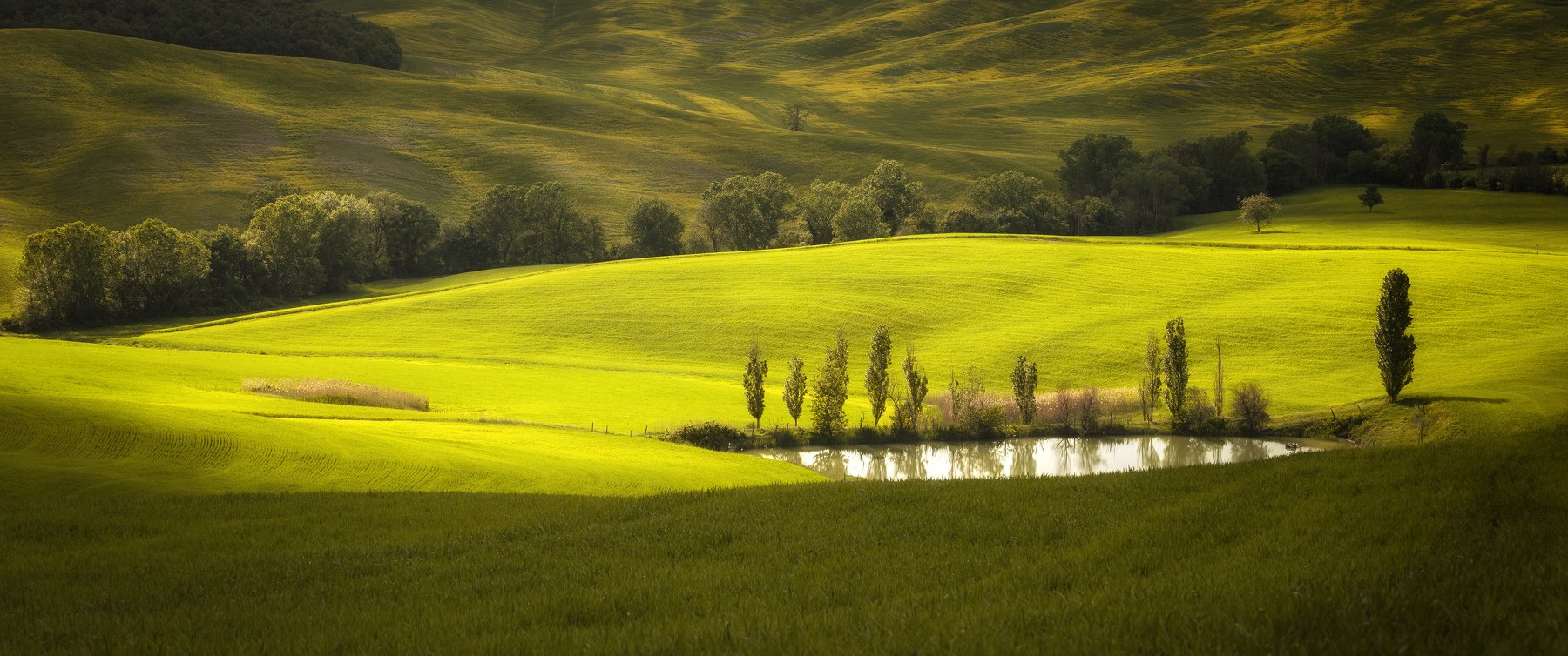 1636201309-1527eec8a5c1c4a4f15299db0a745