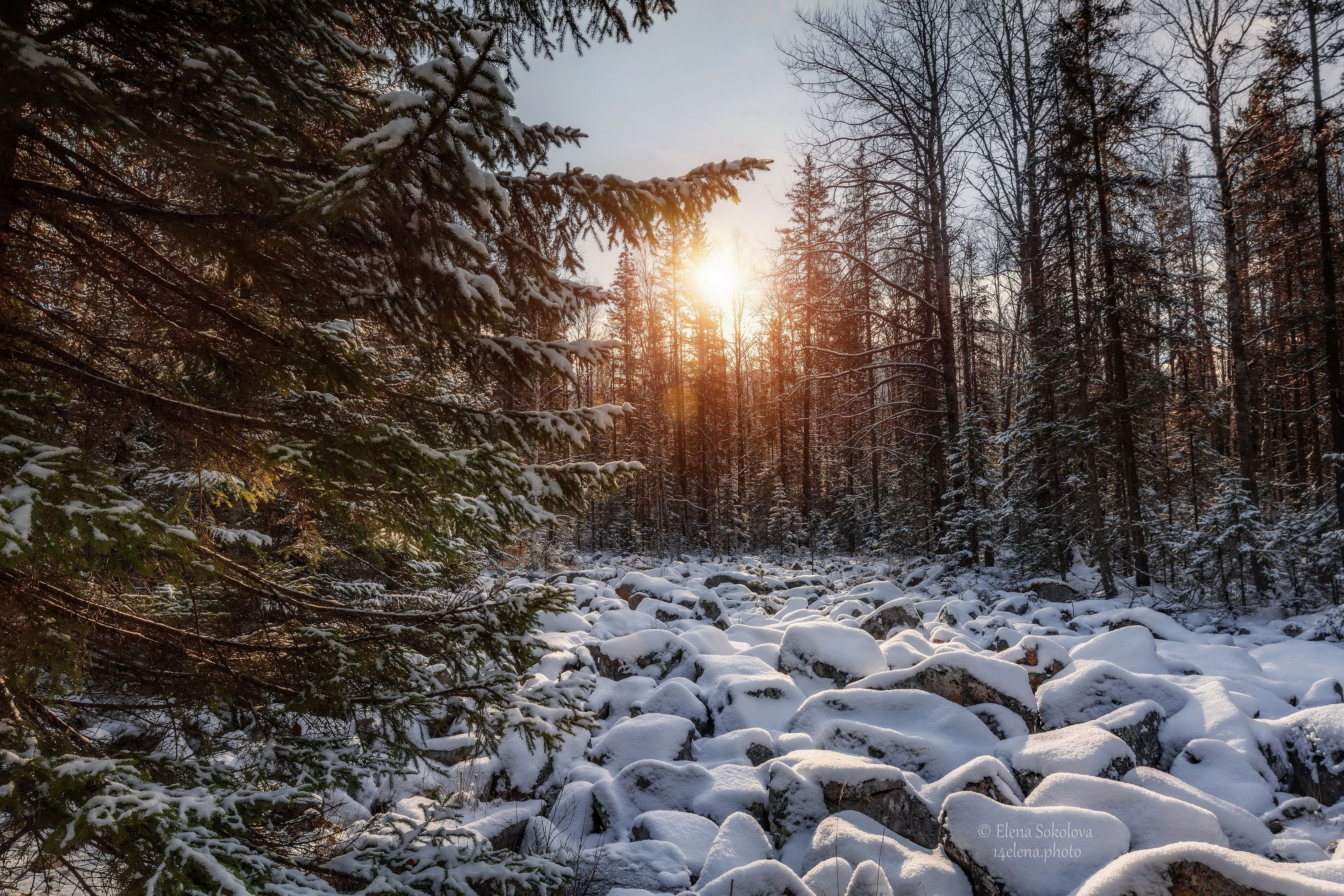 Солнечный день