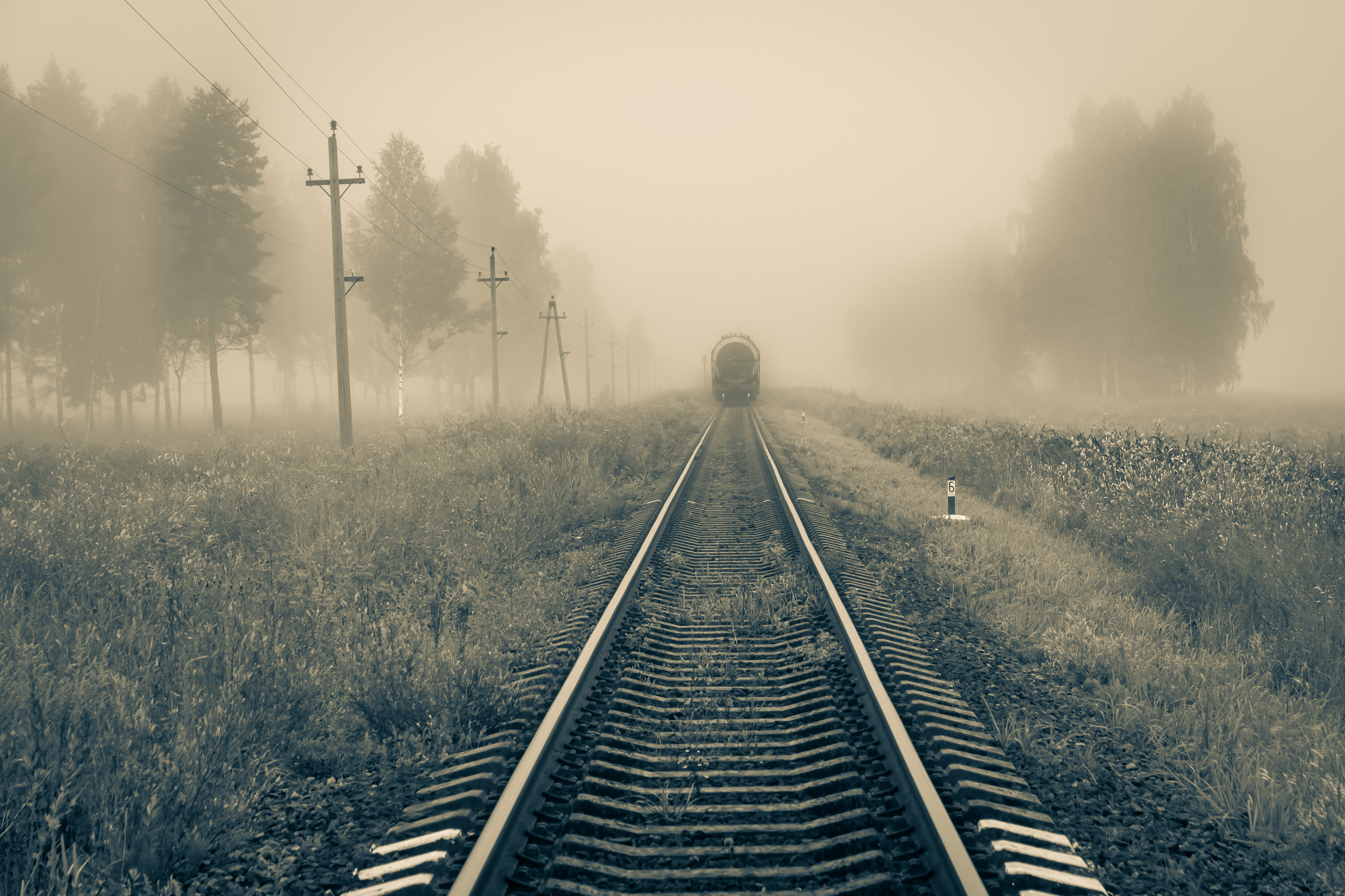 1751997877-1750adff539ad258a05d95338309f