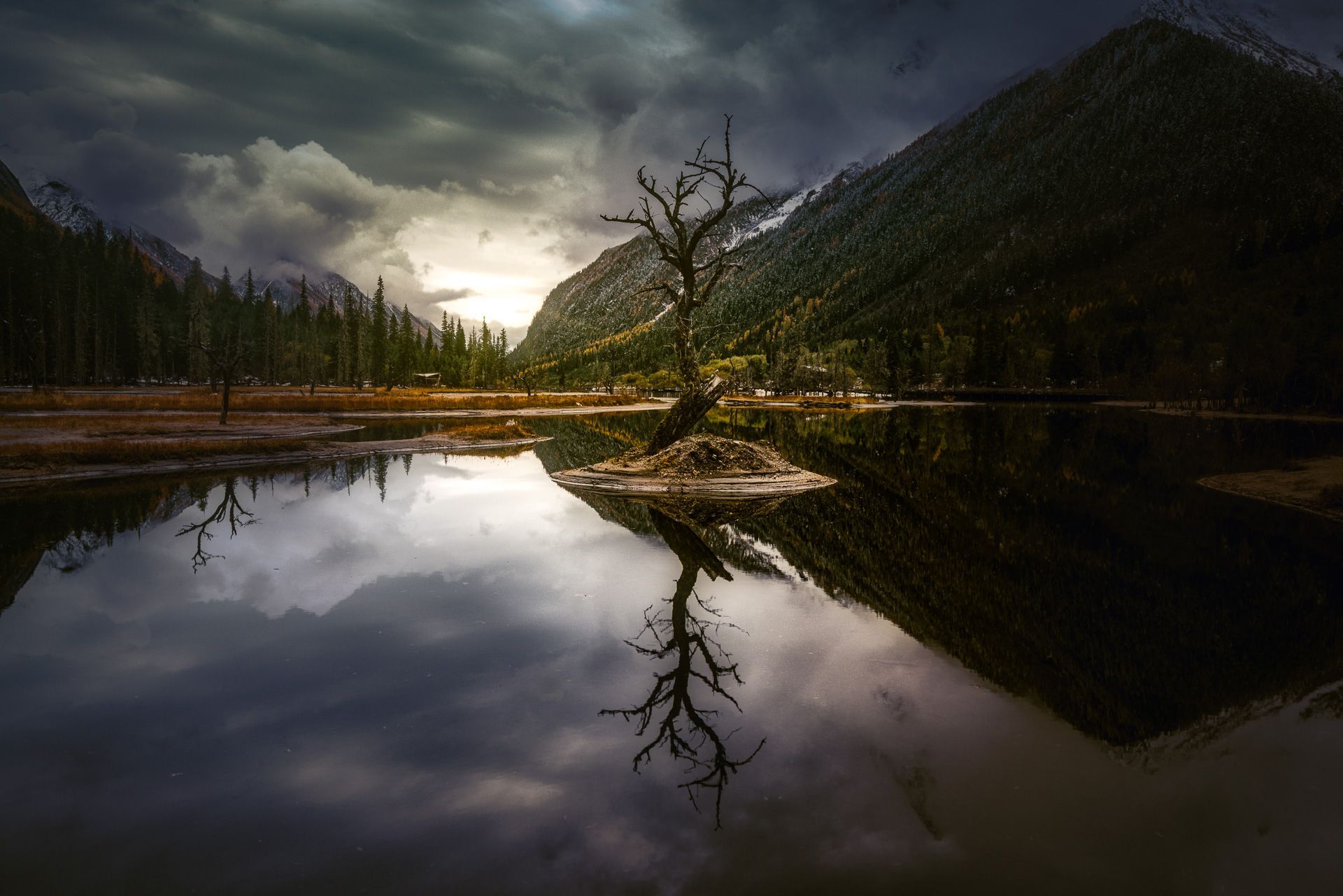 1767766389-180f04cd2c18d3a6f858cf94a4e20