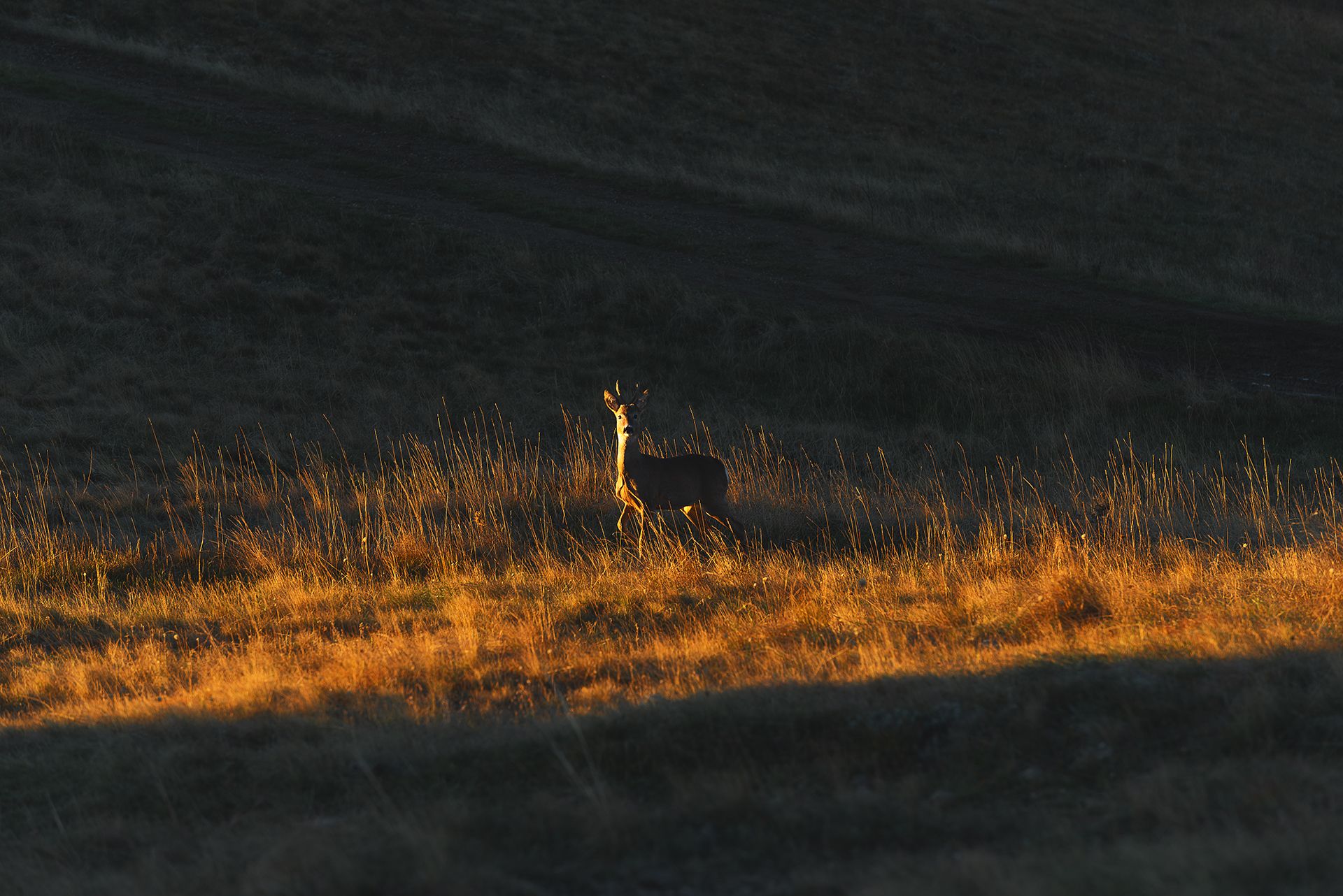 В первых лучах солнца