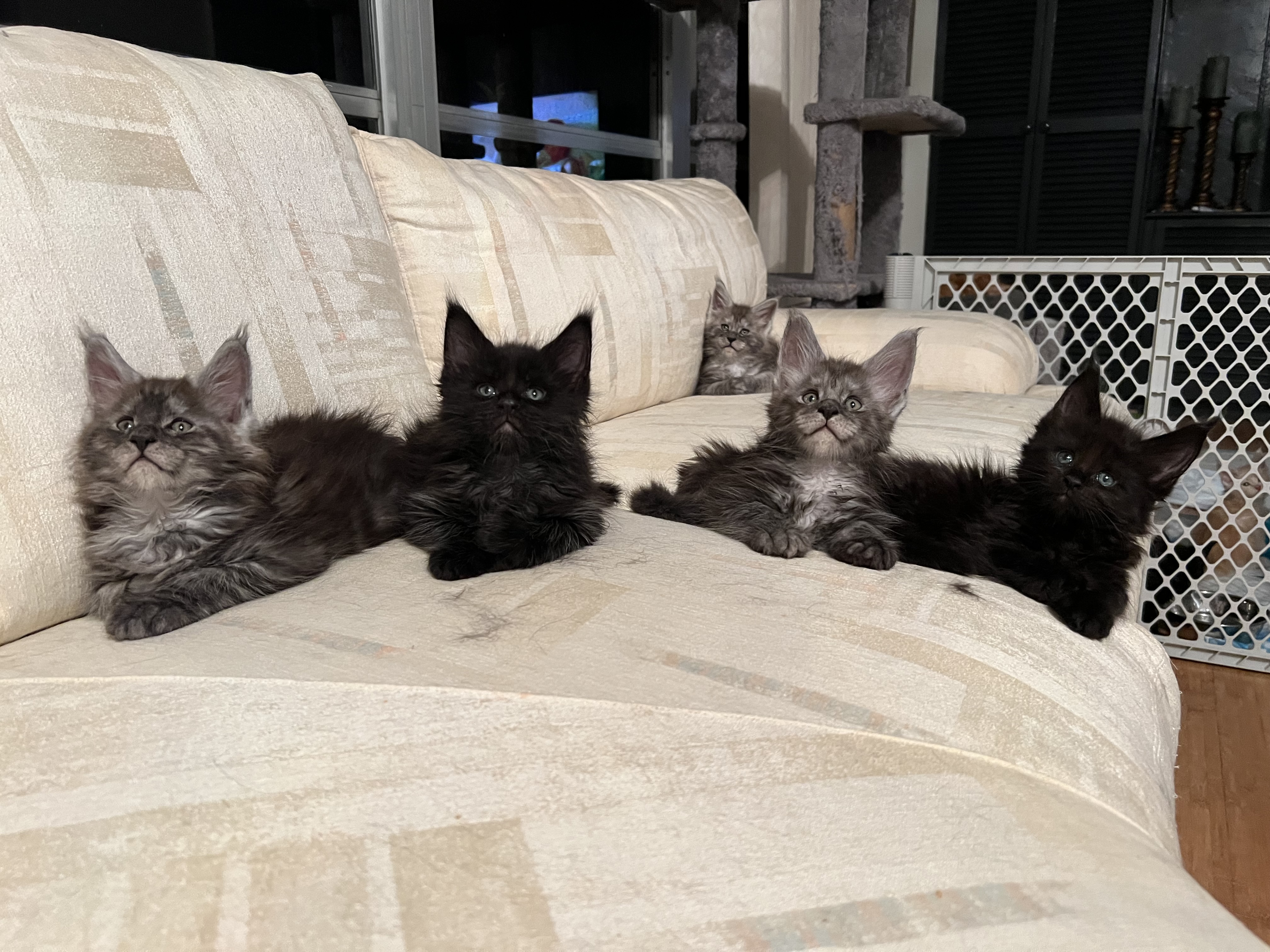 1696645487-188ac0c40b0c615f532f95af4338f