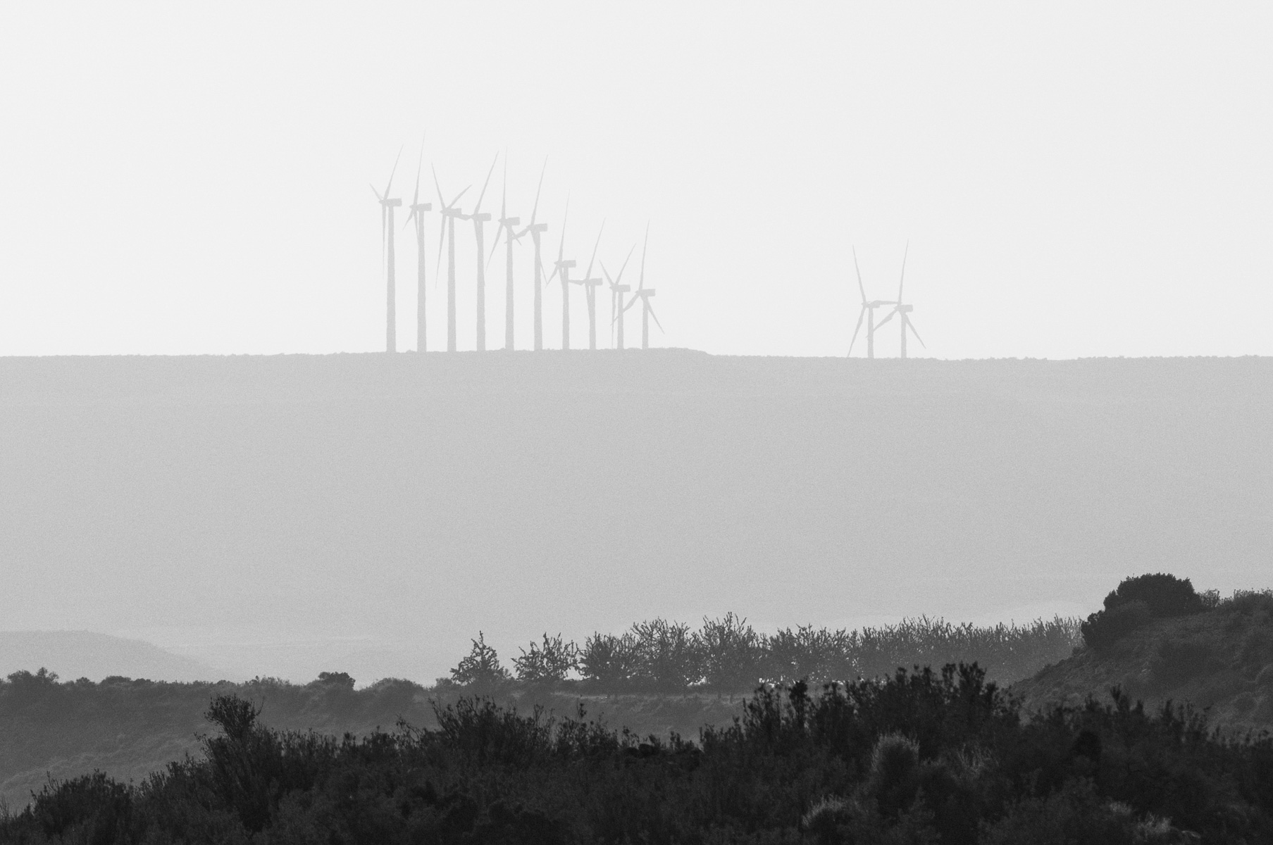 1649695473-1891aaa00d86a45a2b18c4e841d79