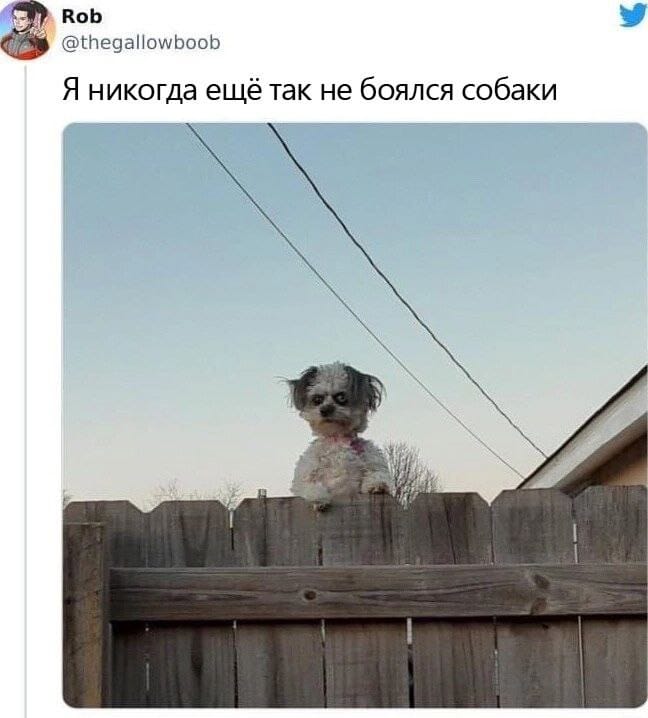 1682413363-1911944fc99f8e9414f4d9404e340