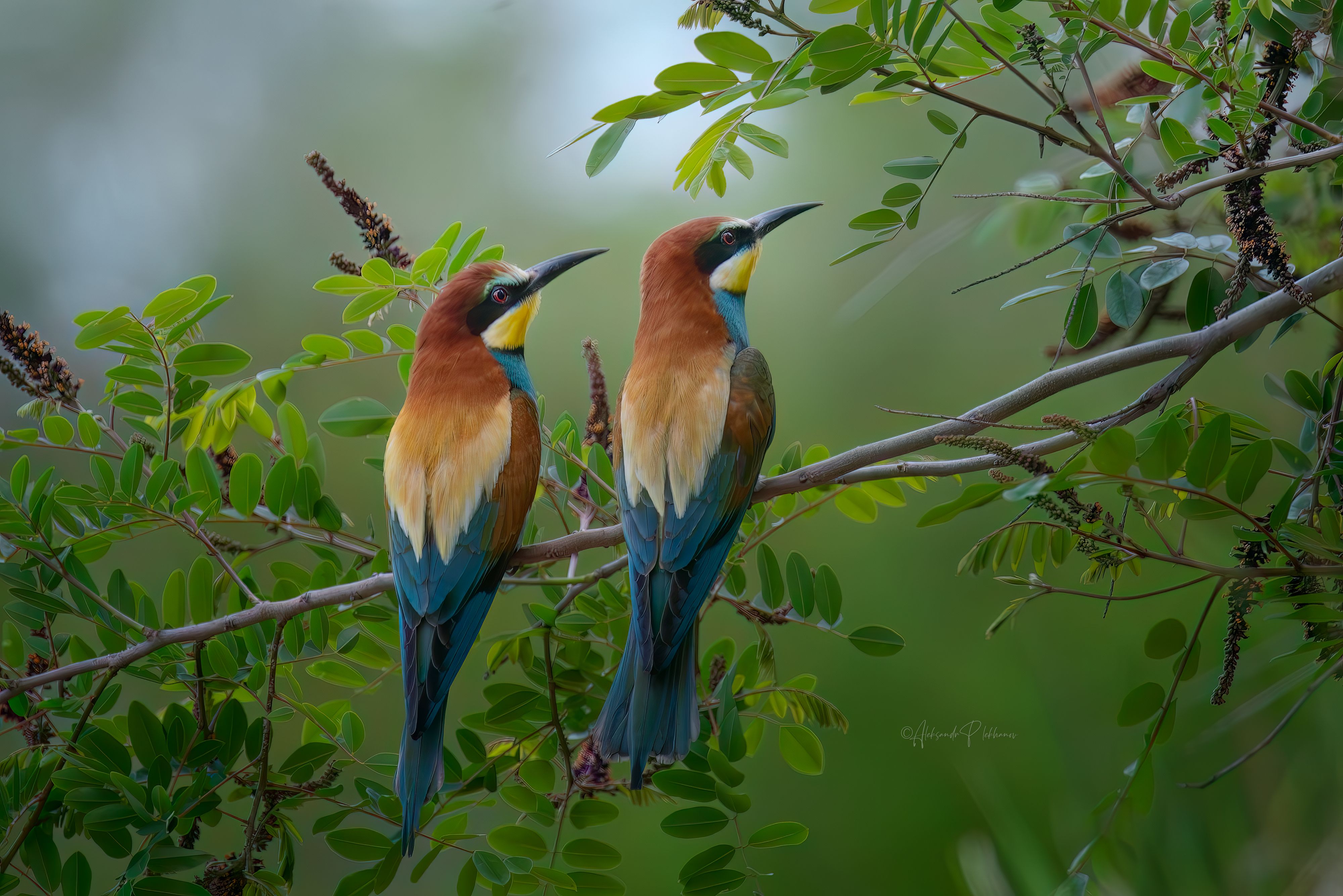 Прислушаться к тишине