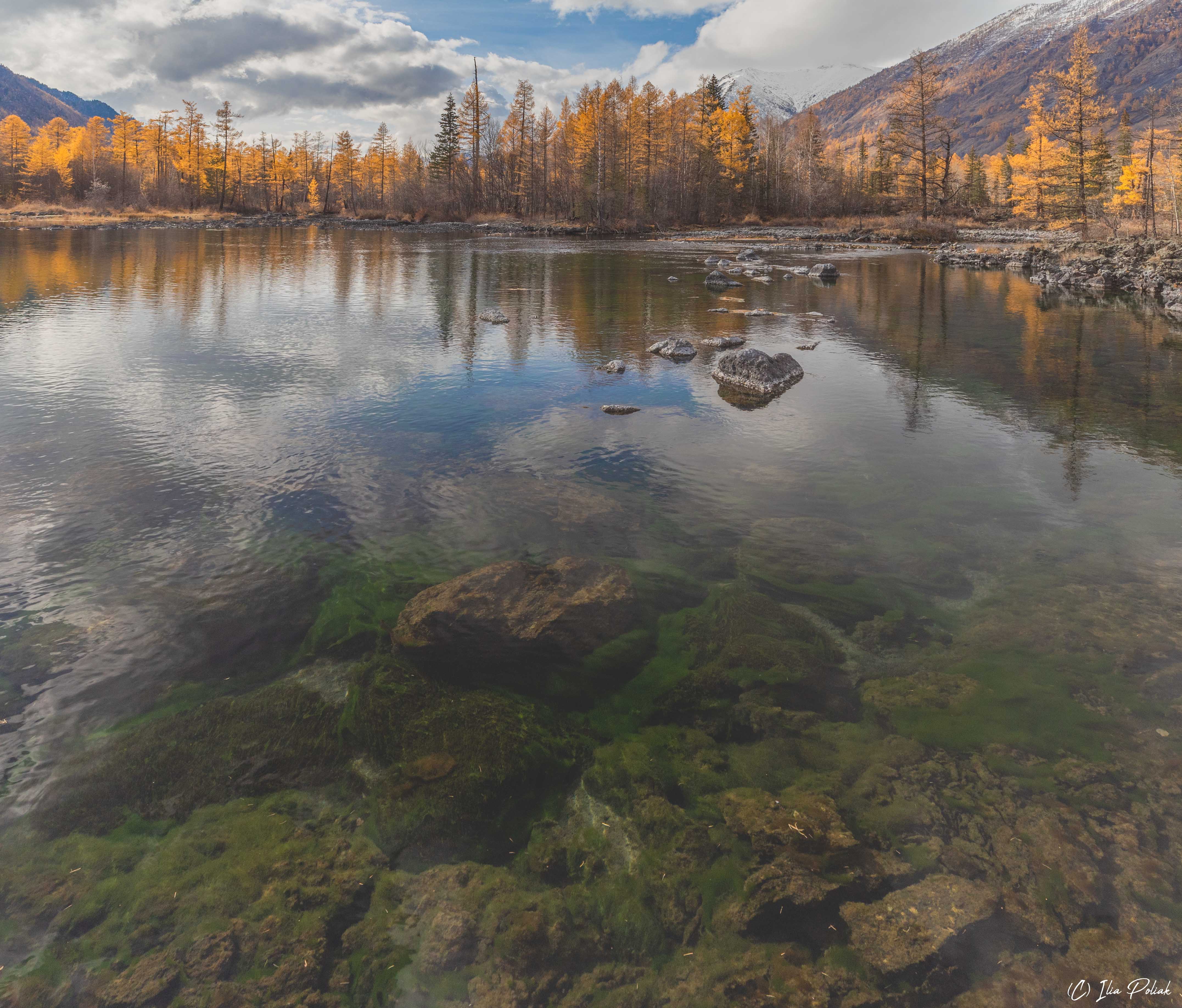 1672125892-1f983f8d272900fff0e38832267bc