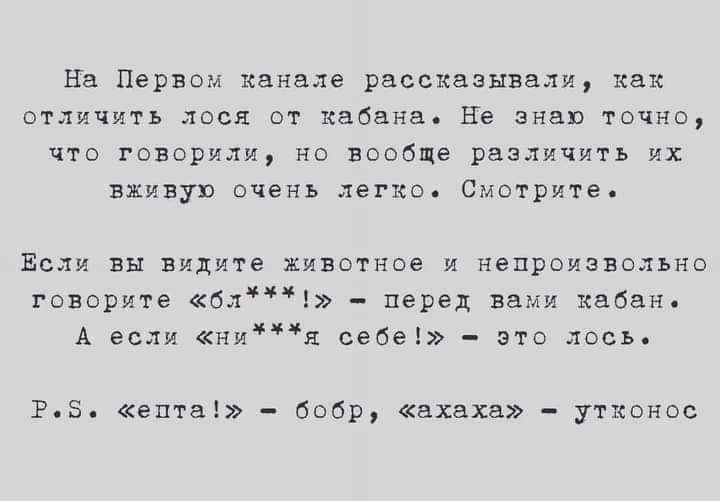 1637839410-1fd23f86ff0ed02deb6a89e61ce44