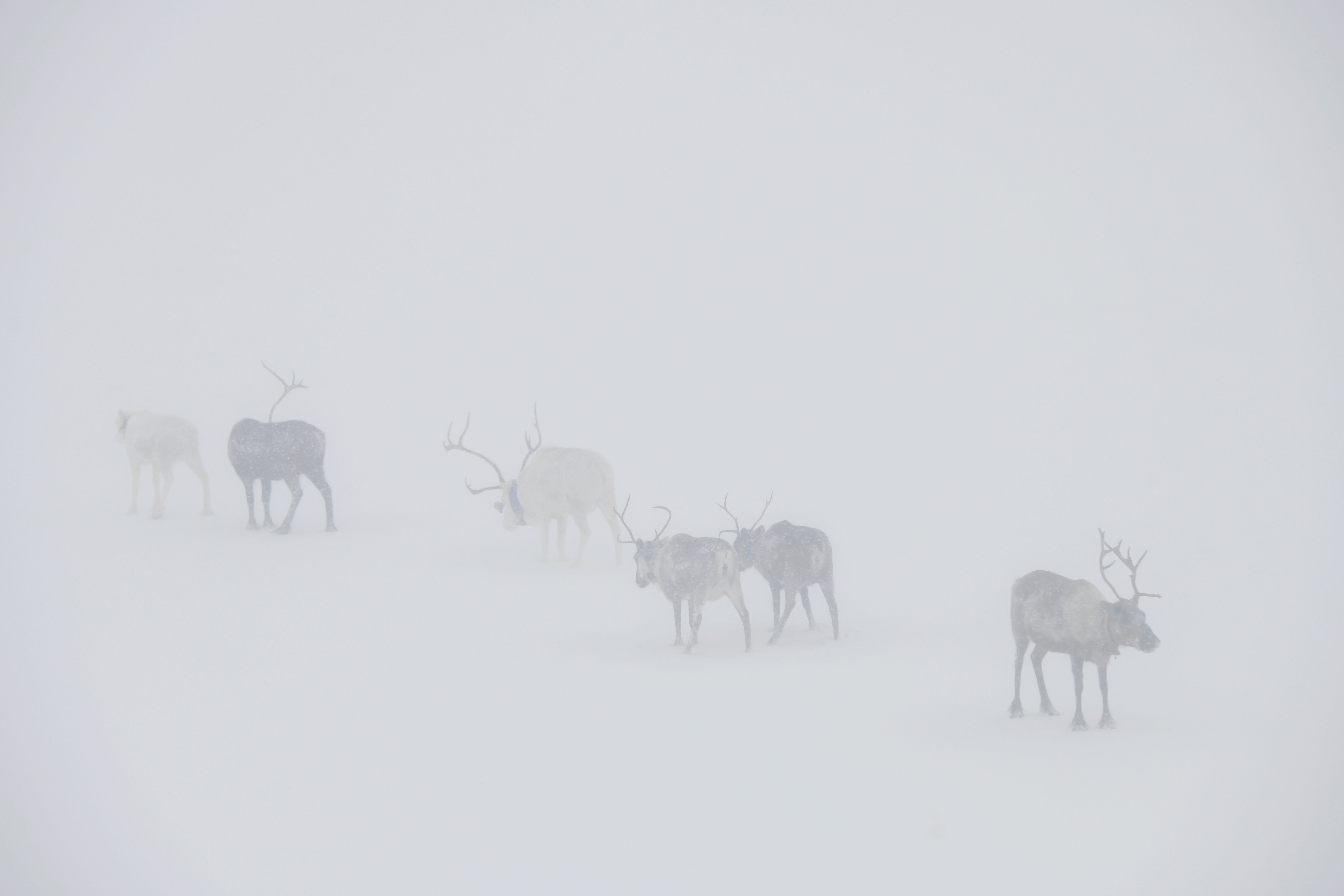 Мартовская вьюга