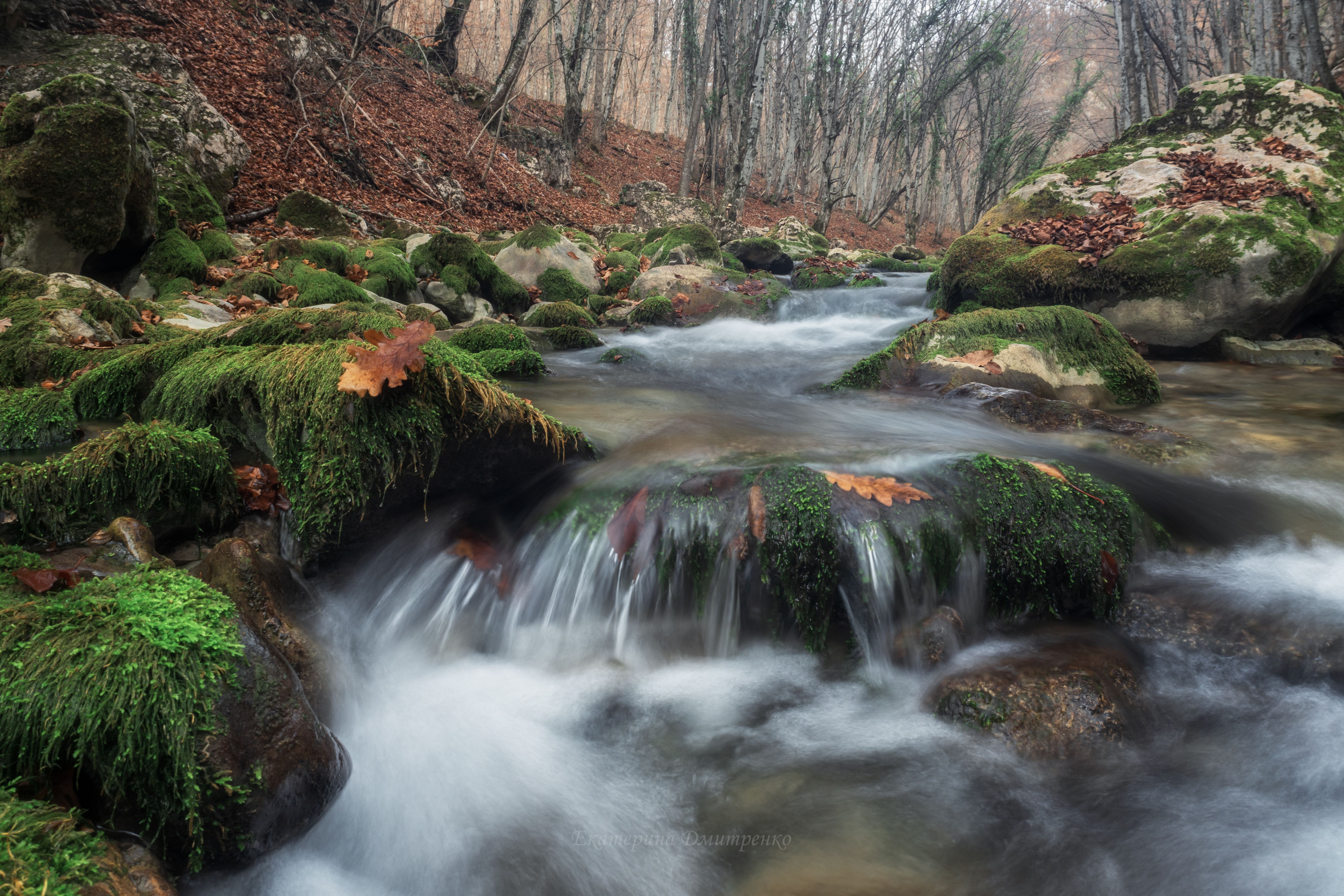 В Большом каньоне