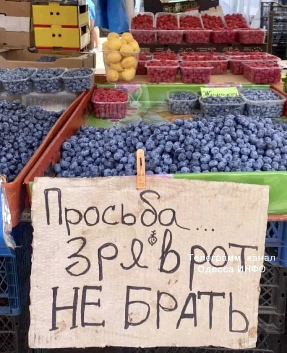 1659101279-2388e63aab4baa64fd89111c6aa88