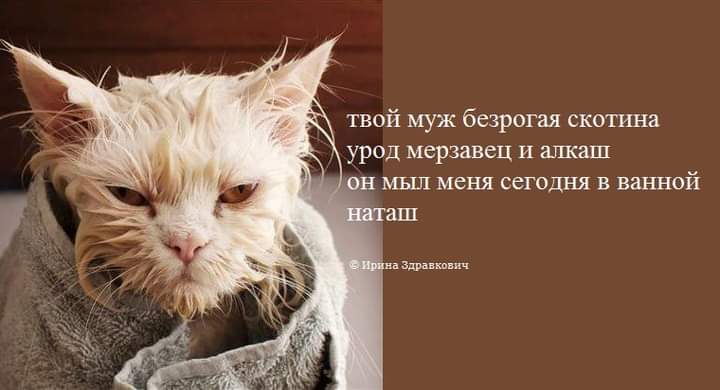 1622138503-251fe5788c8ddcb242b7d15b65db6