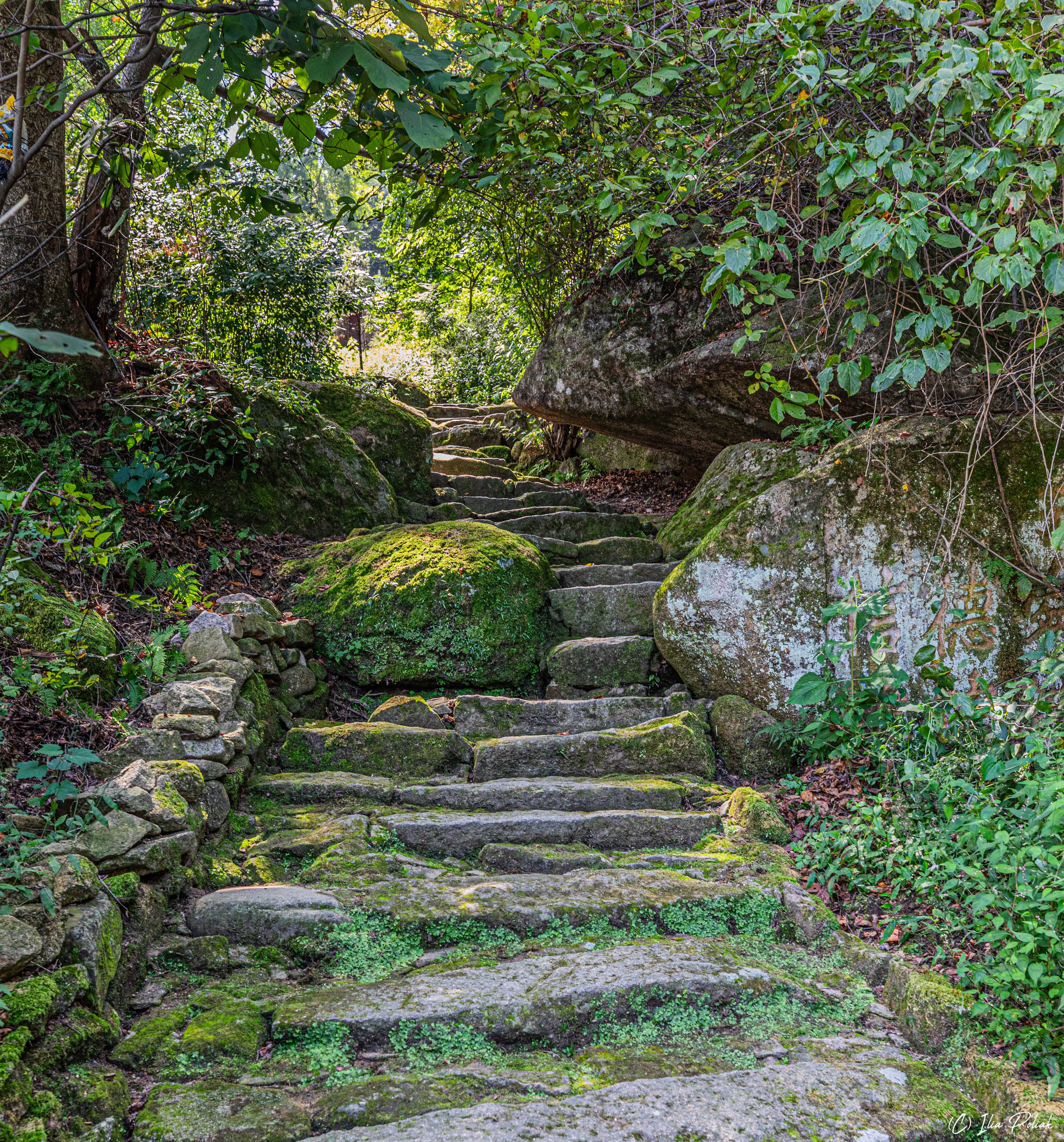 Лестница в небо...