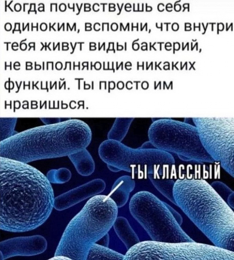 1690386932-289086eb94a7dd5b0f2db440d12b8