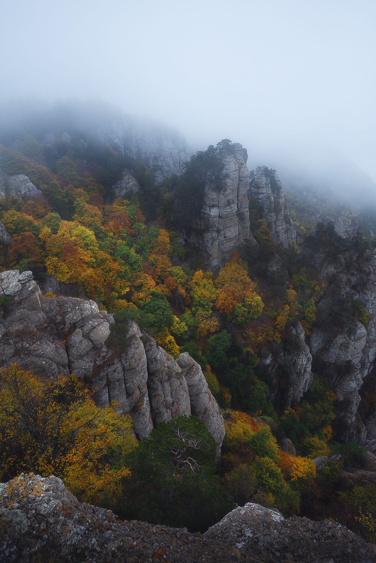 Осенний лес на вершине Демерджи