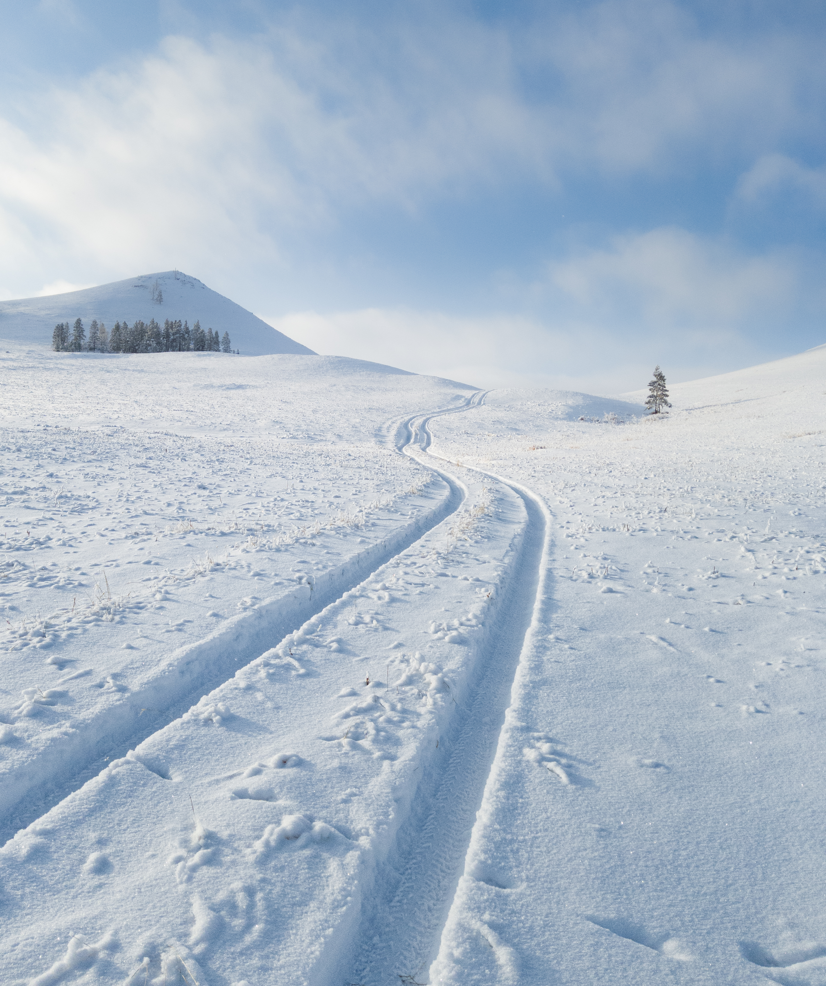 1650274354-2c4be9cfcf7564cbcee99ec3bef53