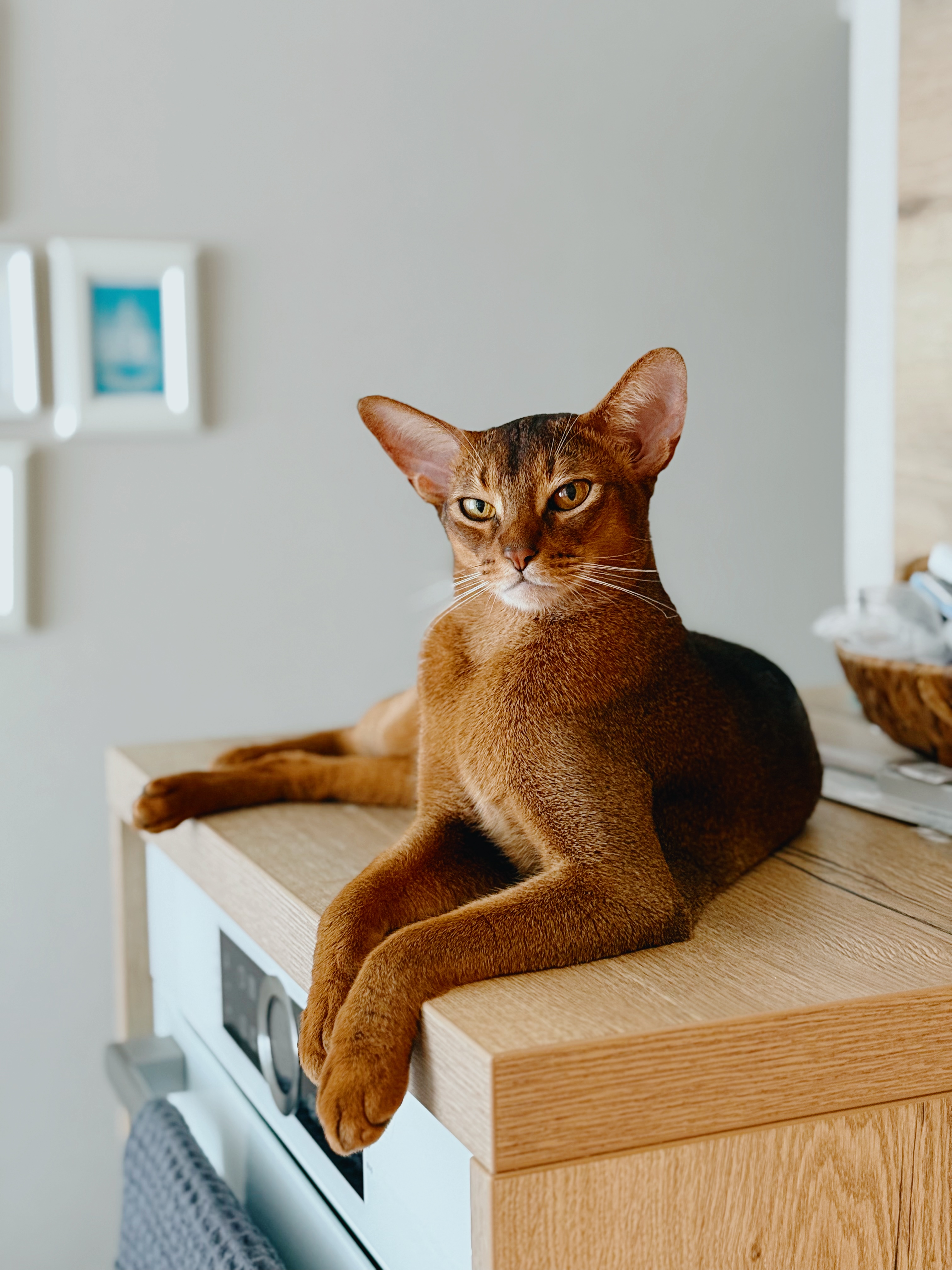 1755673640-2df0629bc3cfe8de739b33c7b243a