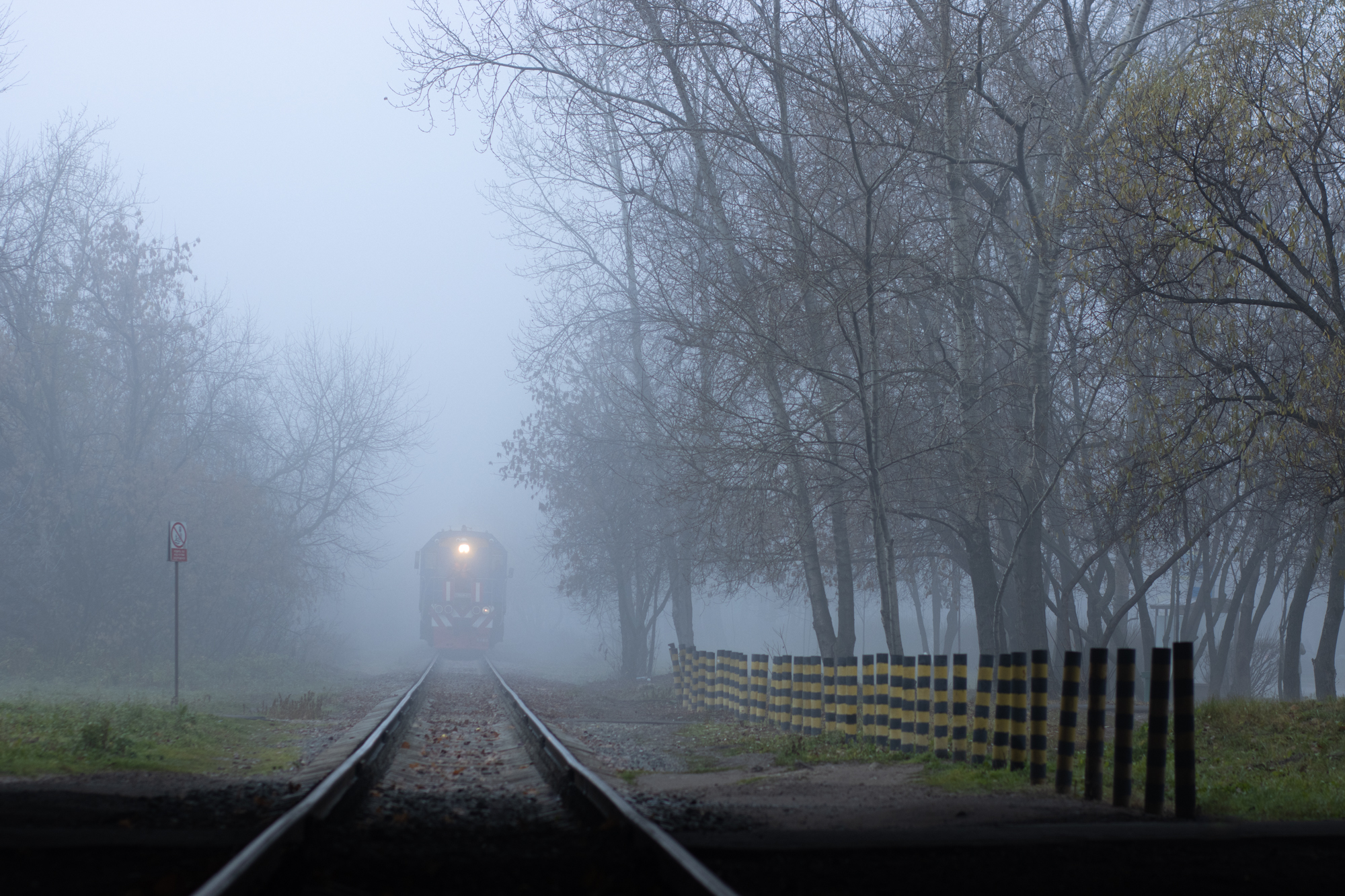 1669325139-2e892a092bd488c5dda4ab0a76539