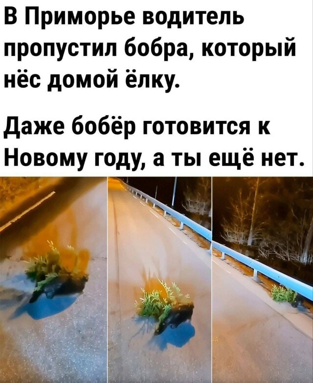 1702918963-2e8c5db55834491e93b648aa080c1