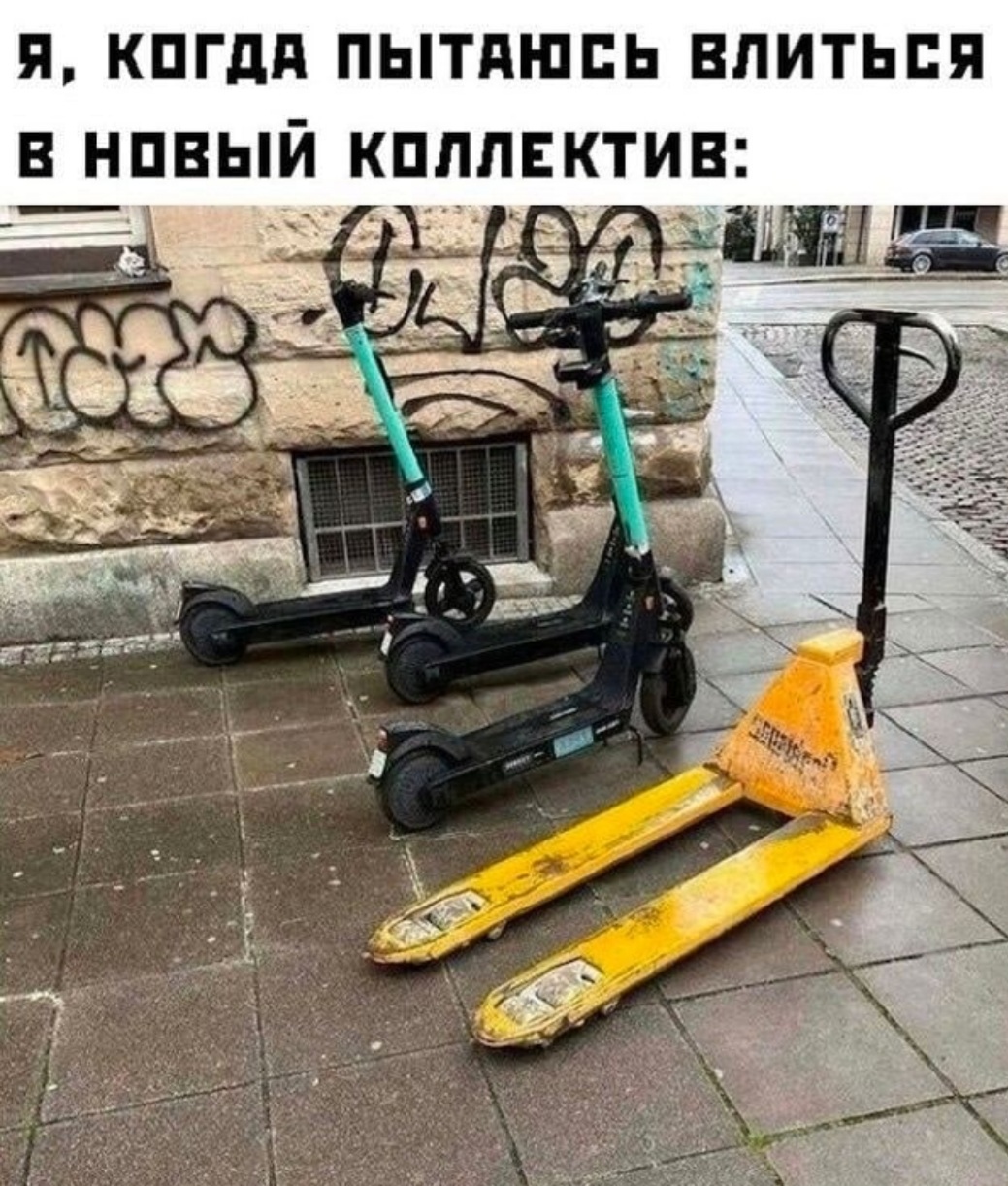 1660030841-2ed6741d1e987379e9ca034c49f3d