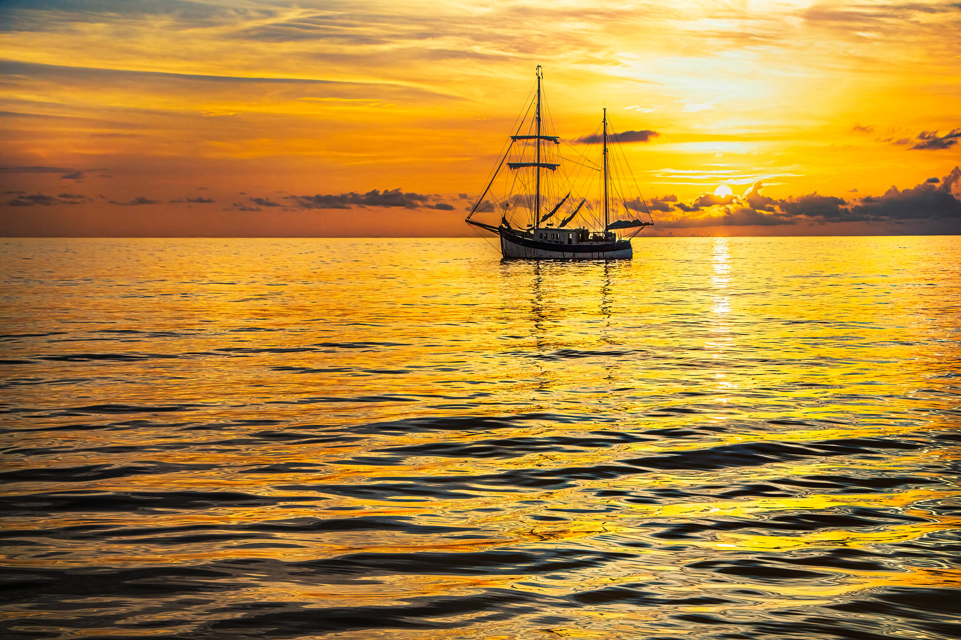 1665755263-30cfdae2d8bd5e368dff05a1658e1