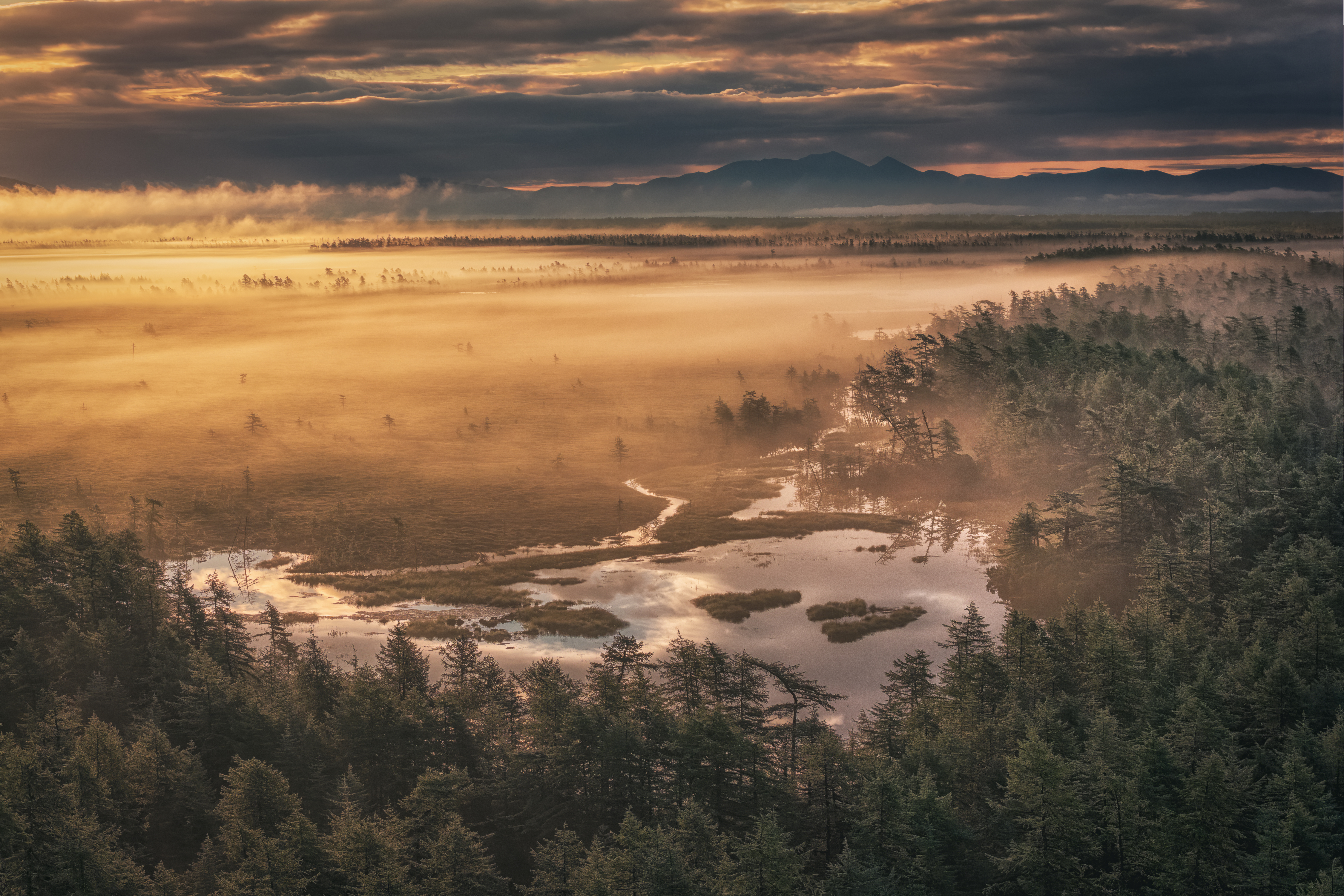 1756891551-3132879934eaca72afbf7d24c06a1