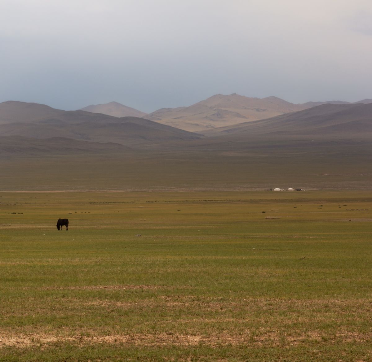 В сердце Монголии