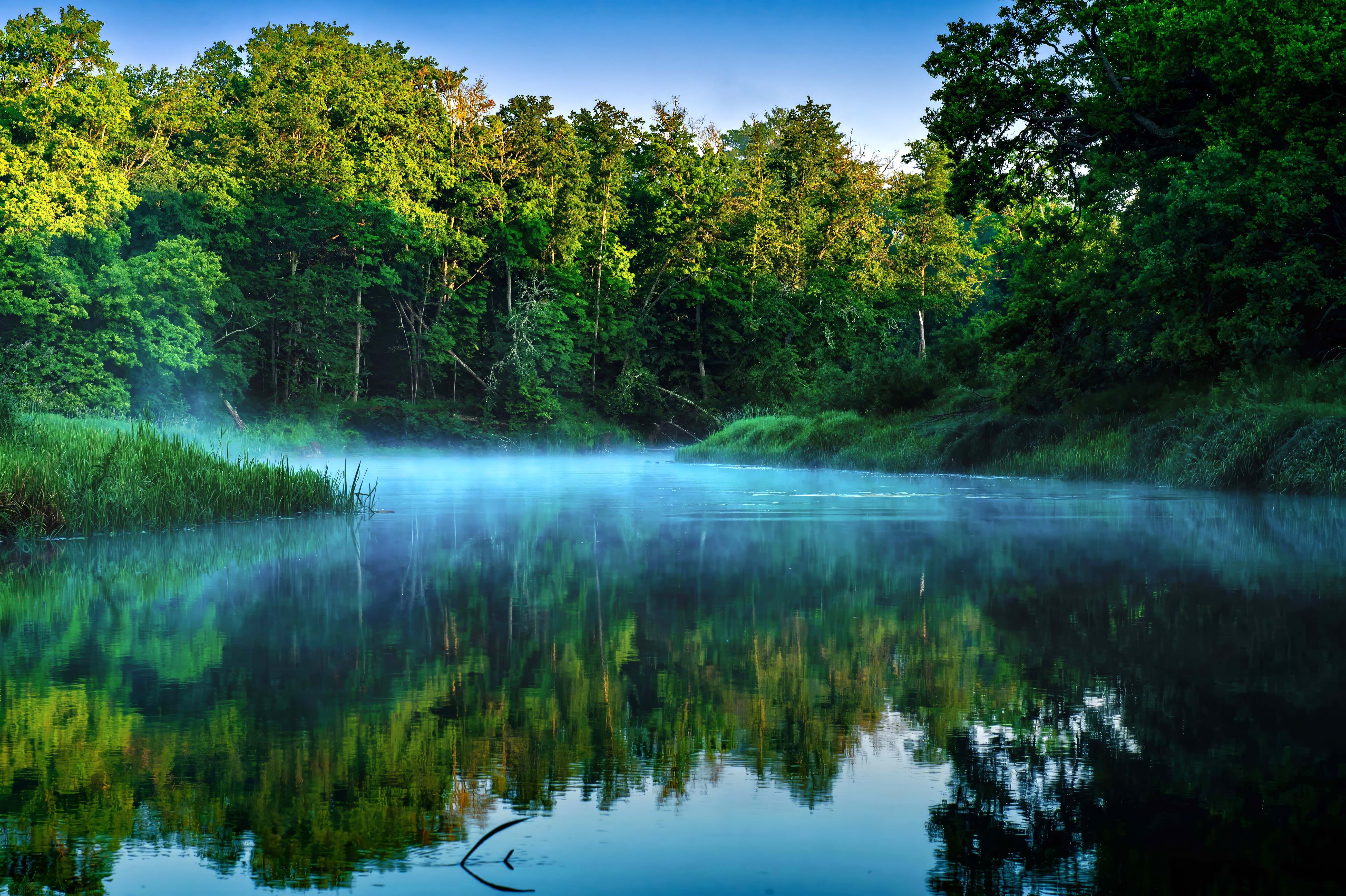 Таинственная синь реки