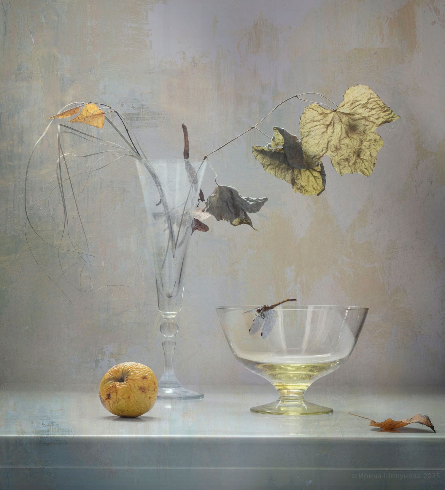 Осень на исходе...