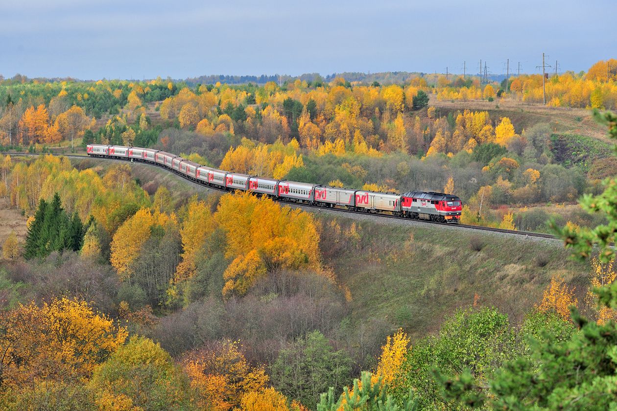 1765734927-3686e673bf06d7b02fa0daad881ee