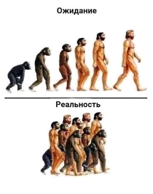 1627305847-36edcc6432f983e0cb2e35eb090ba