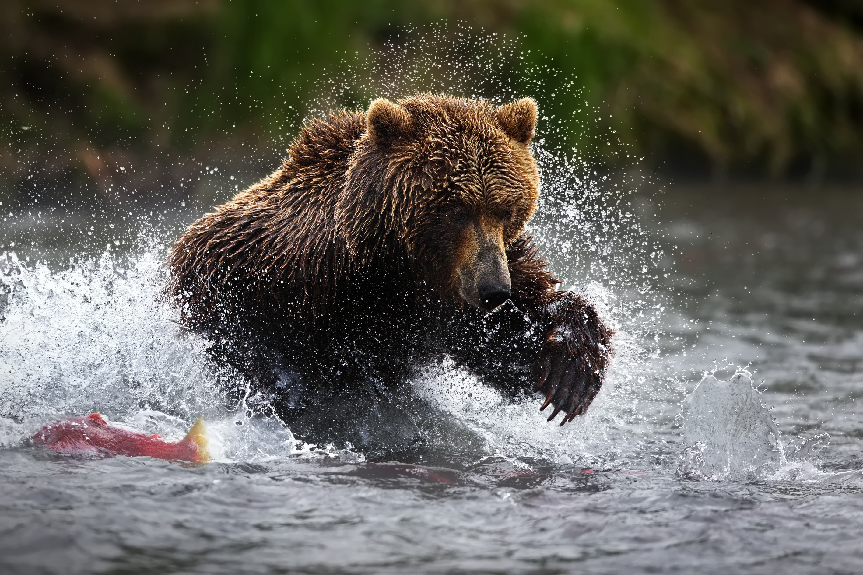 1744695960-379cd8627ac4987ddd5dd11579662