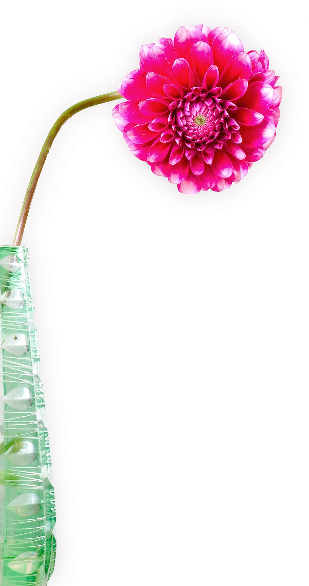 Натюрморт с вазой