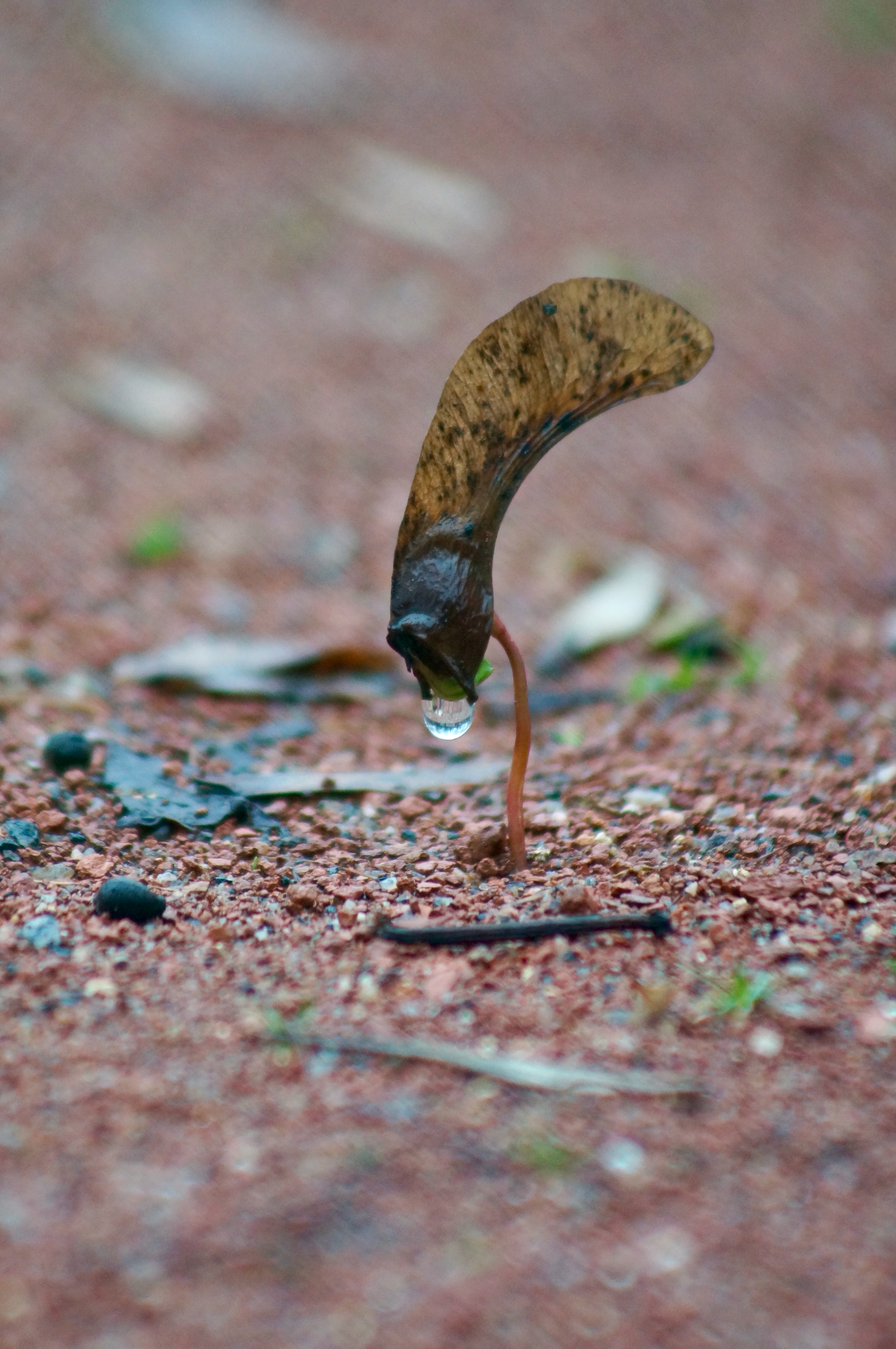 1650937816-39f407e6fd9cad1a5a71466bab237