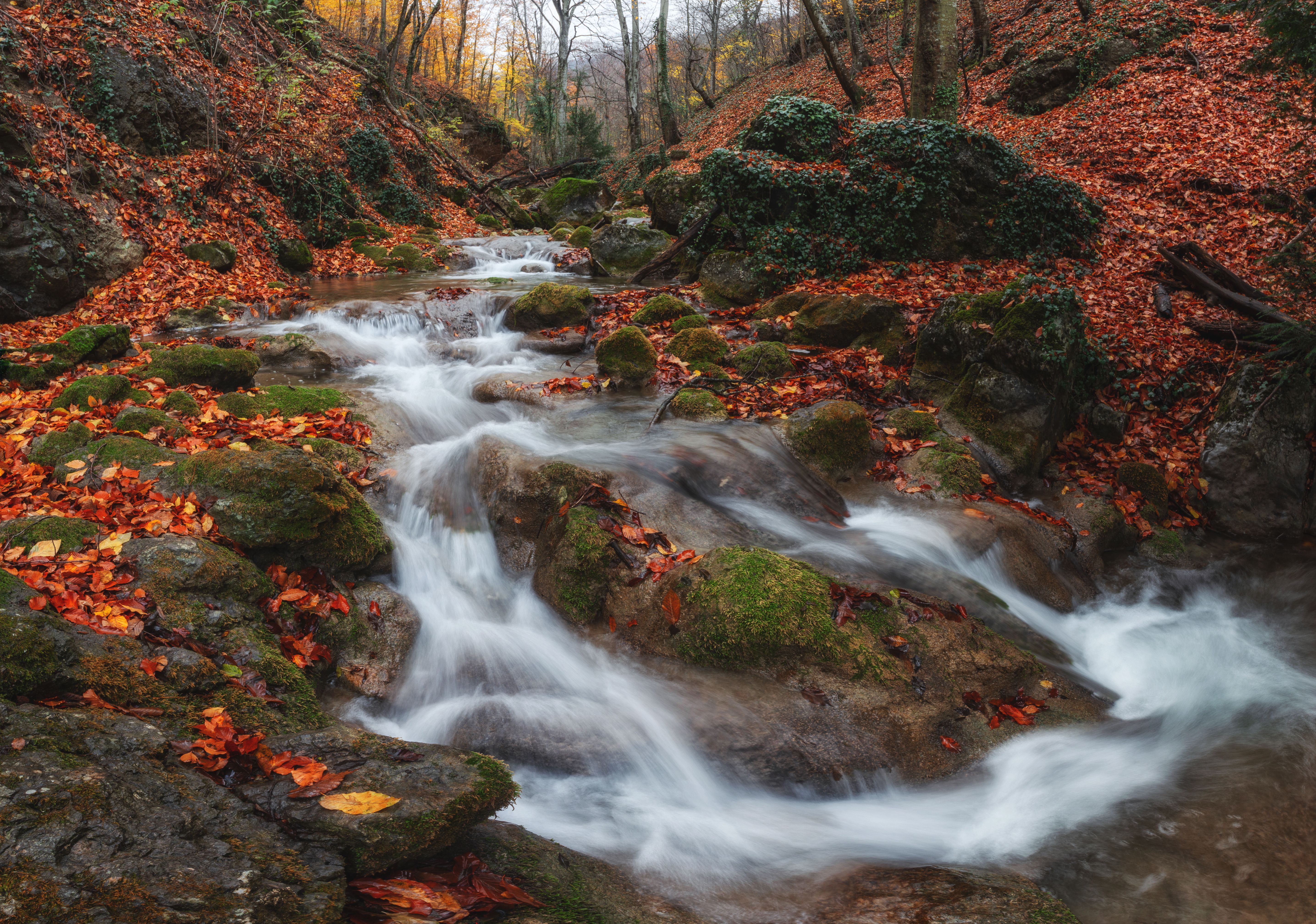 Осень в Хапхальском ущелье