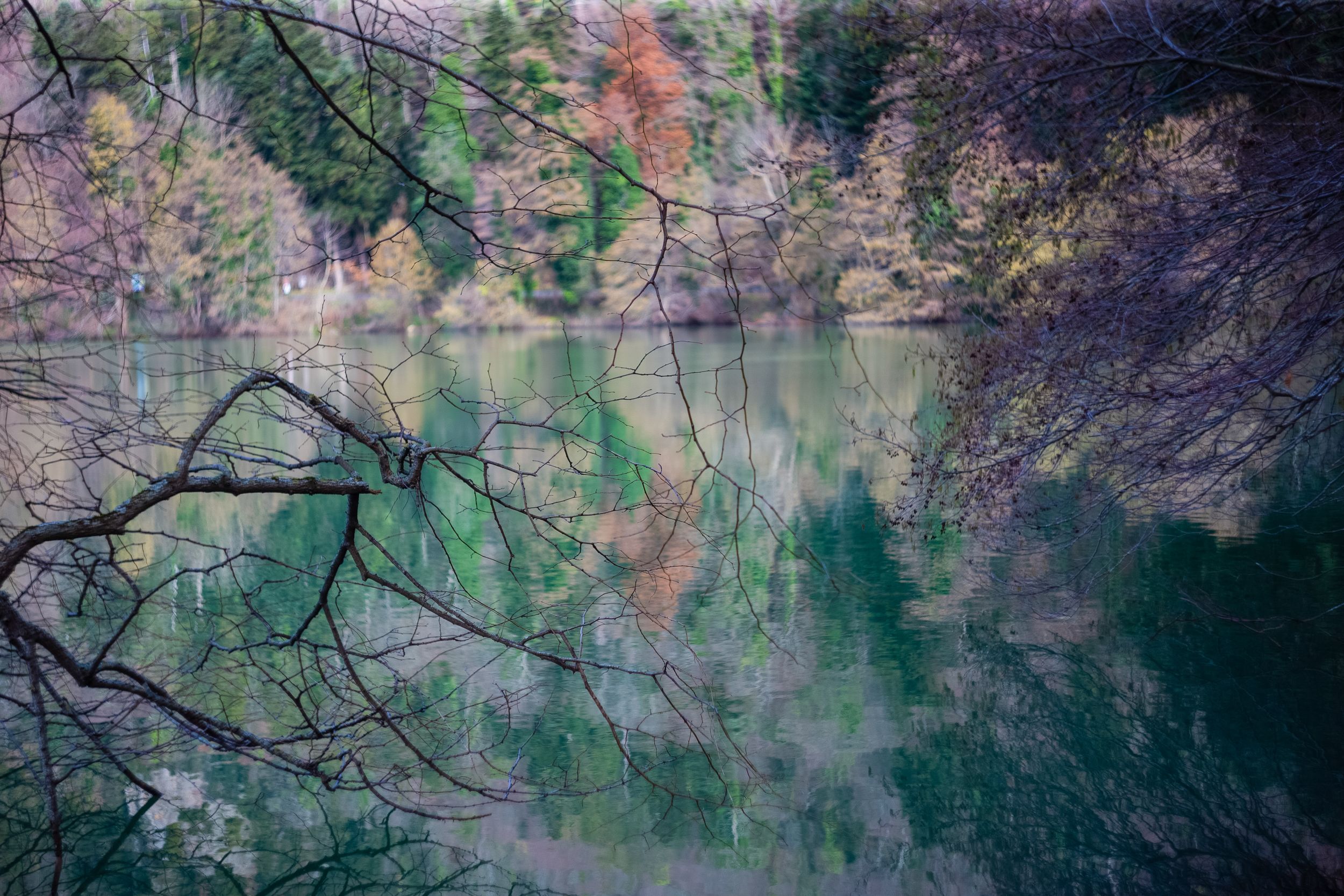 On the shores in winter