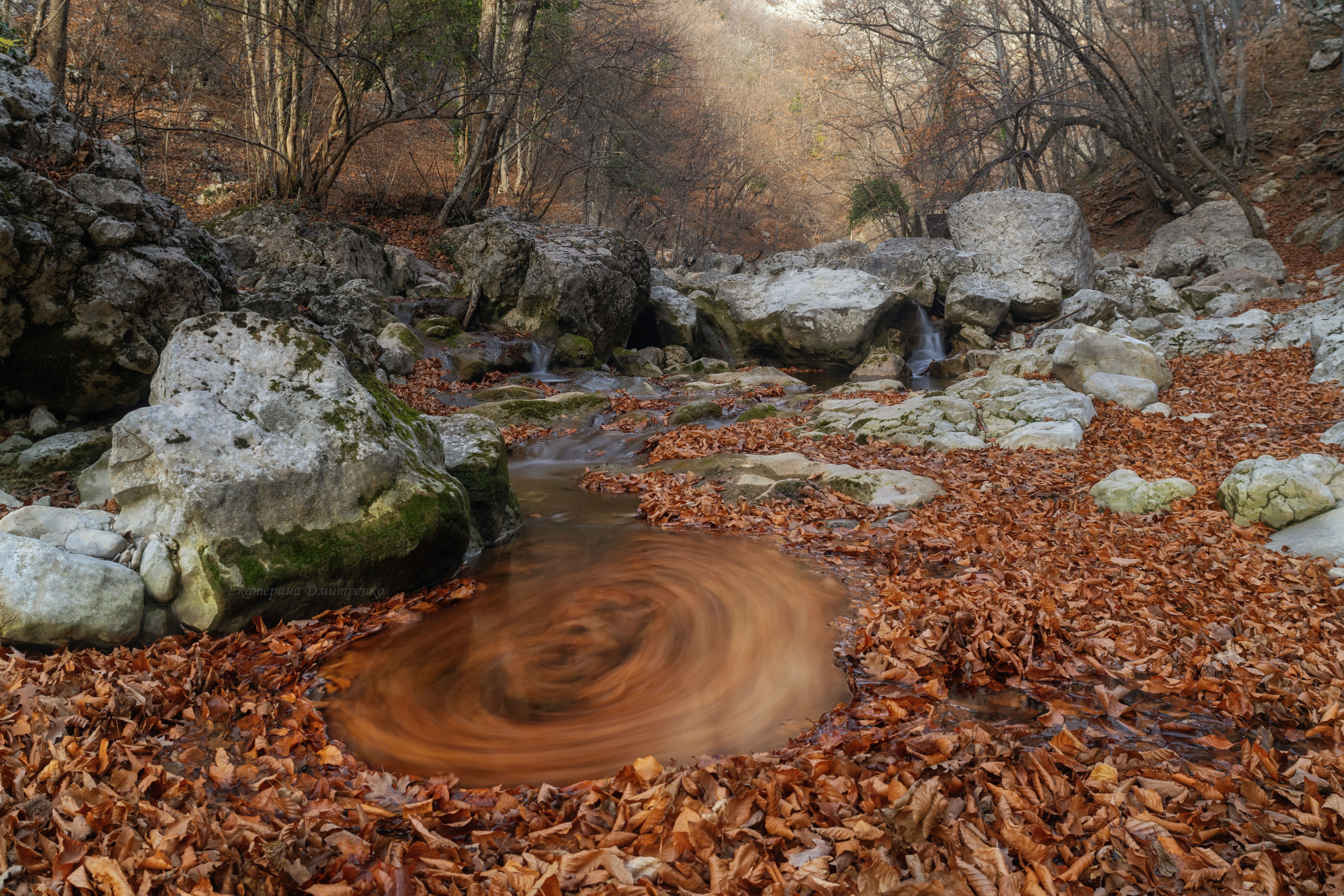 Осенний круговорот