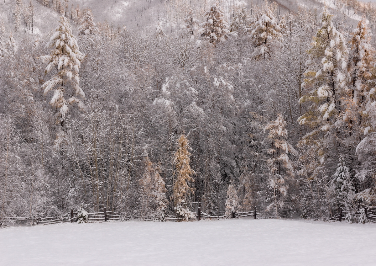 1665792085-3f55cbe2d214897b260356c0f98c9